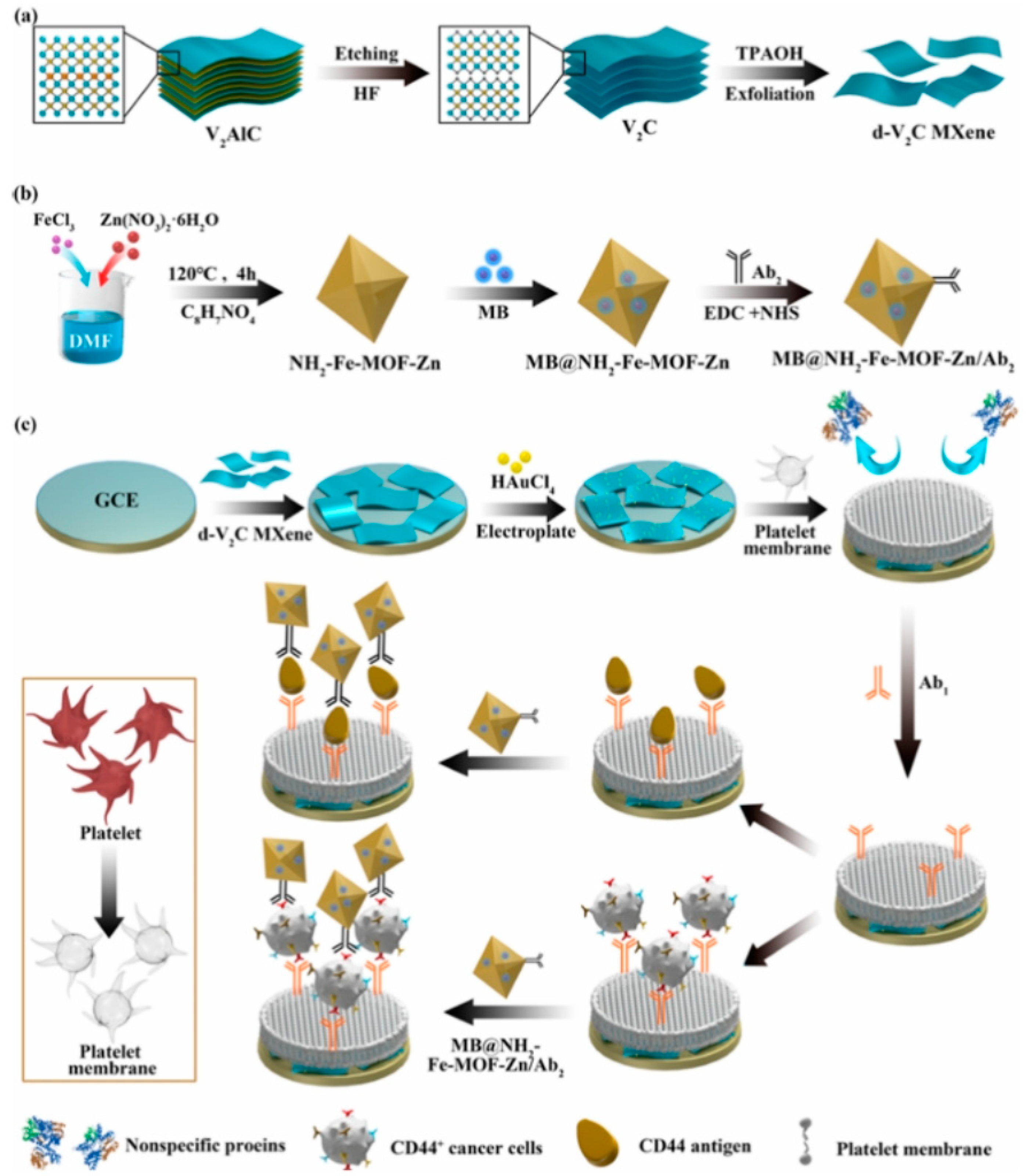 Biosensors 14 00497 g019