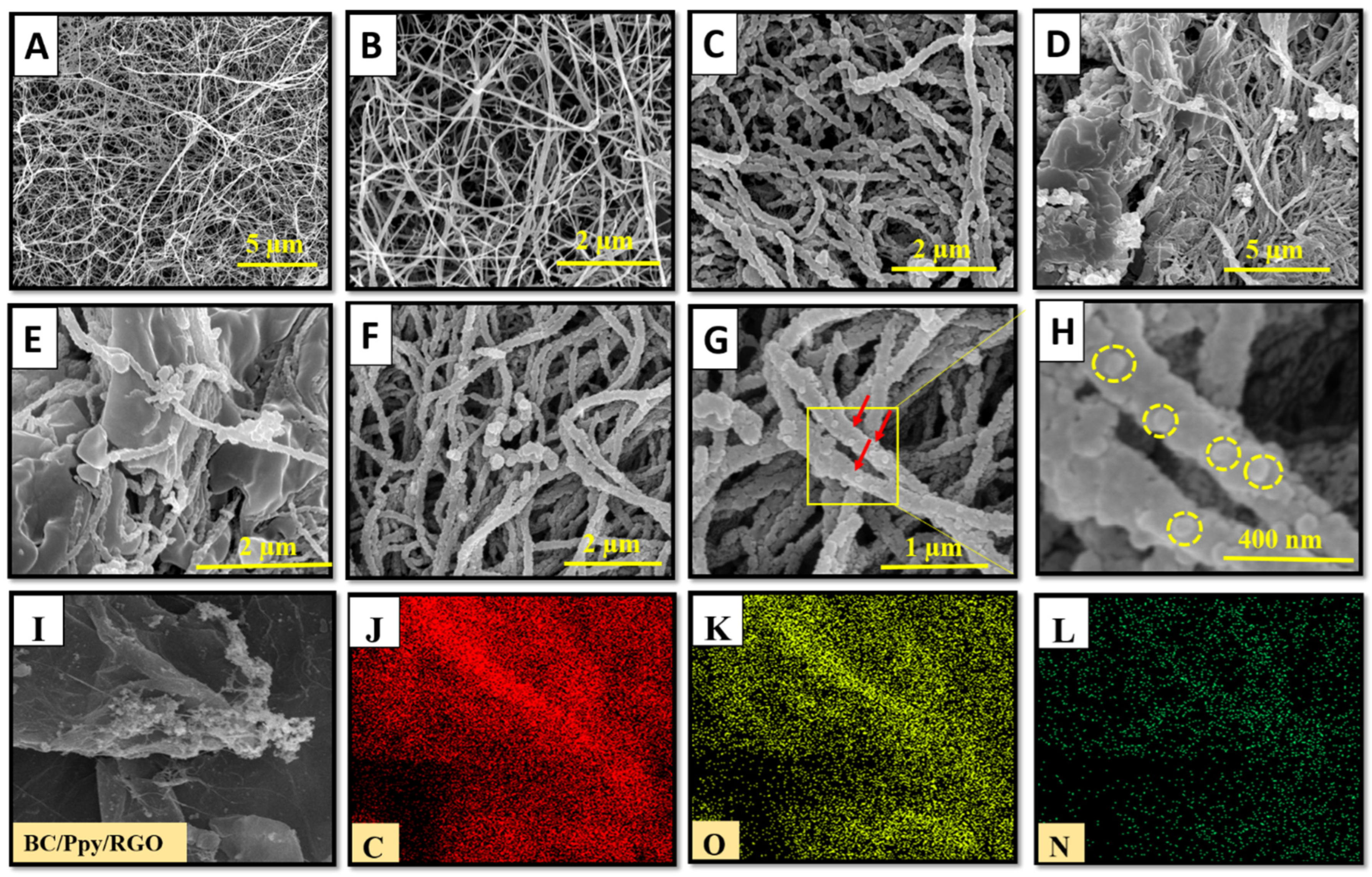 Biosensors 14 00500 g002