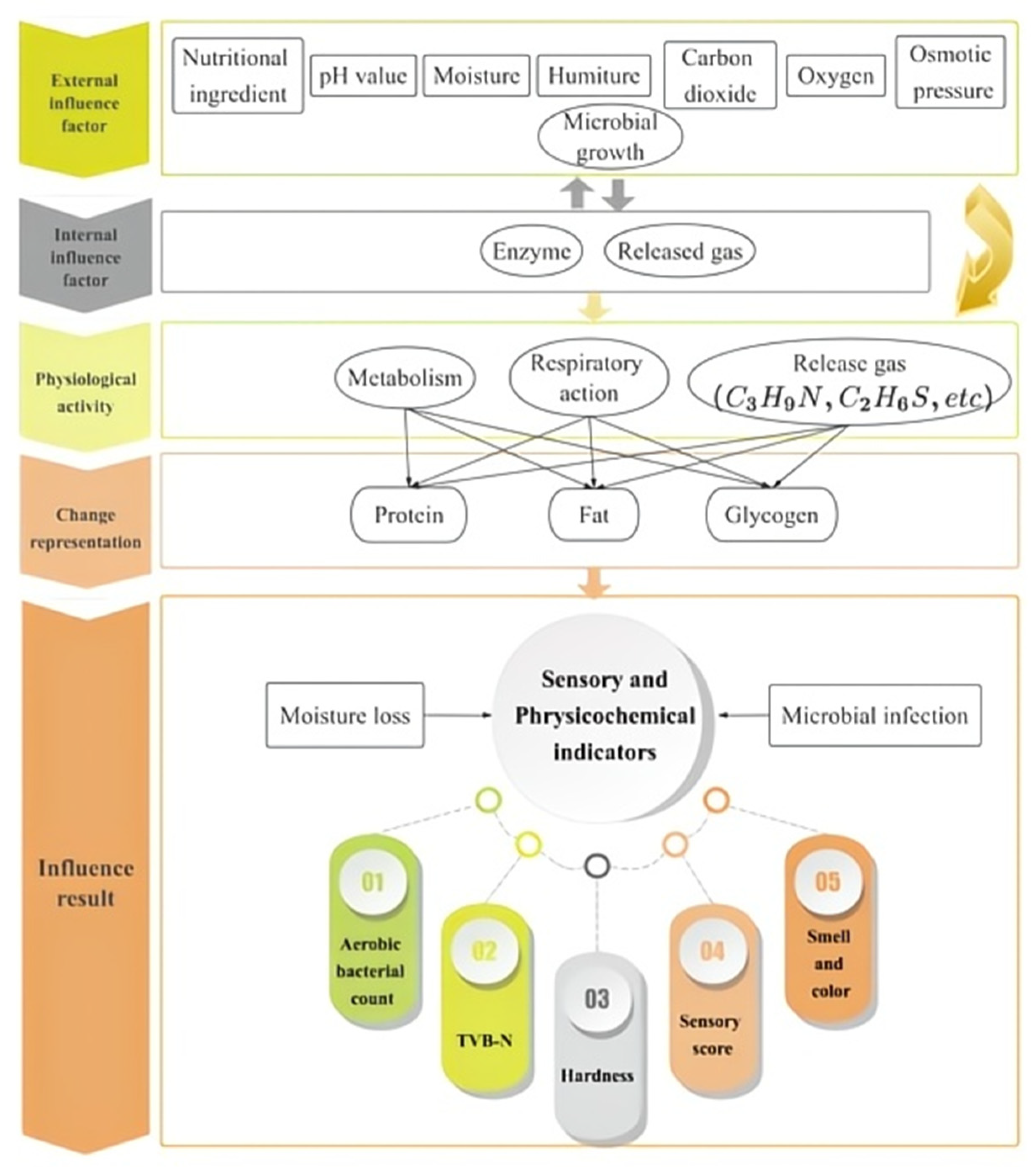 Biosensors 14 00502 g001