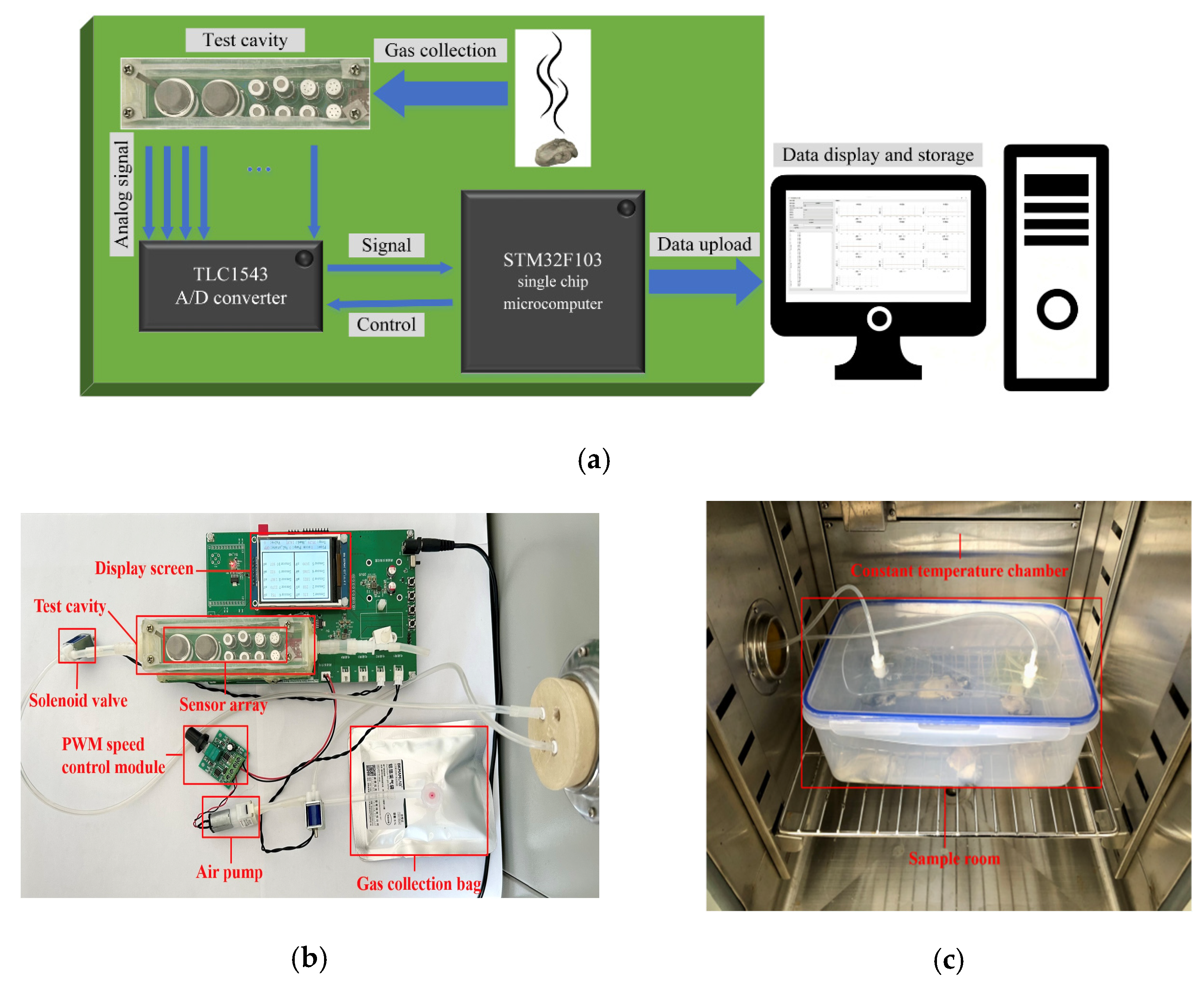 Biosensors 14 00502 g003