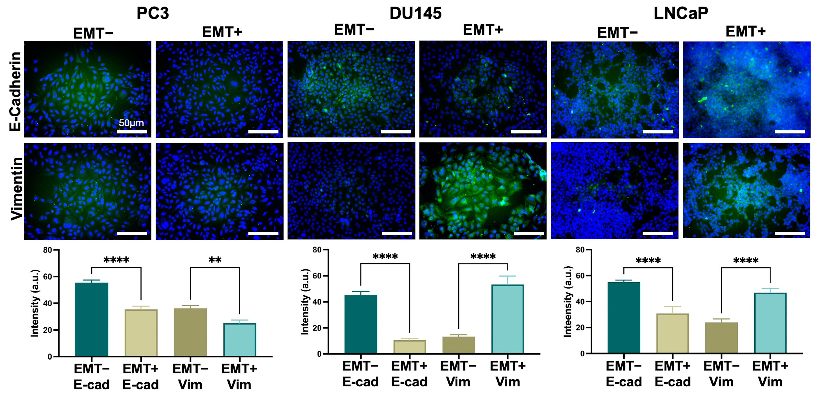 Biosensors 14 00503 g005