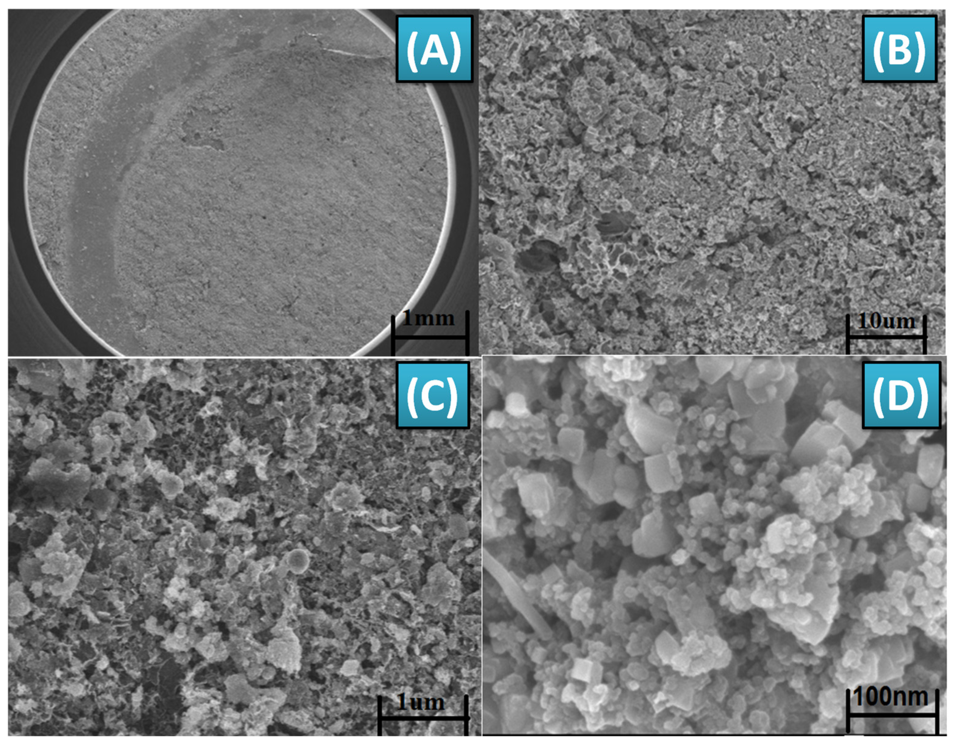 Biosensors 14 00504 g005