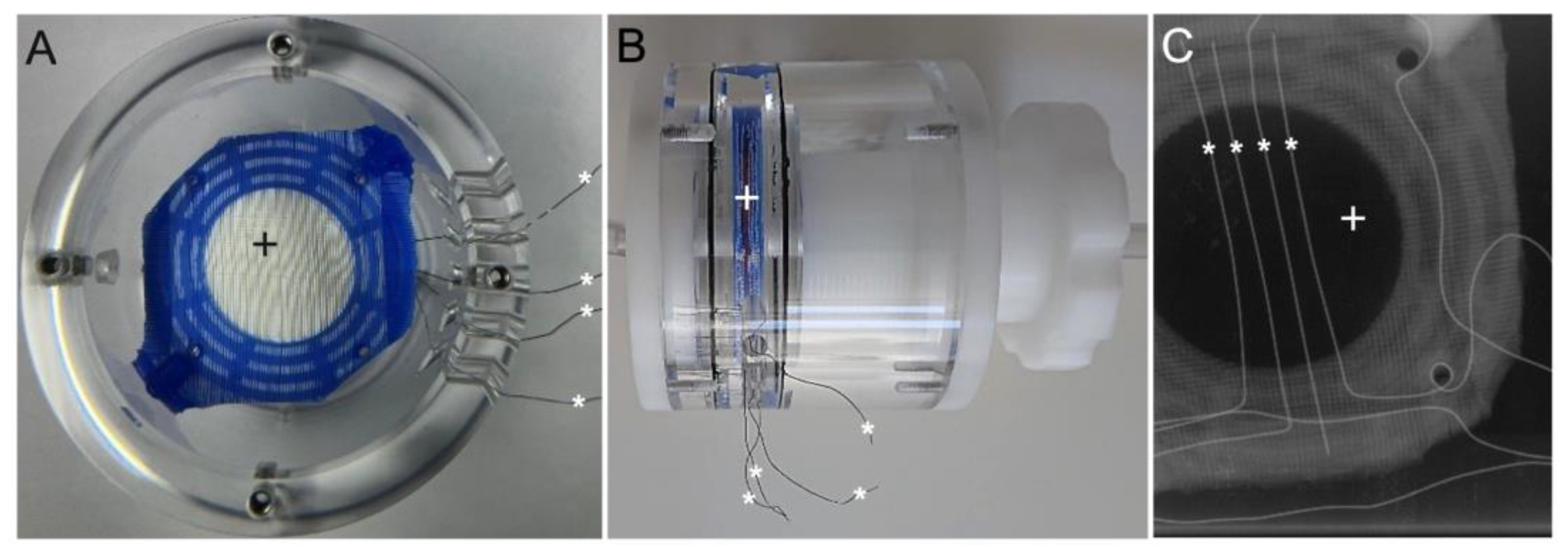 Biosensors 14 00511 g001