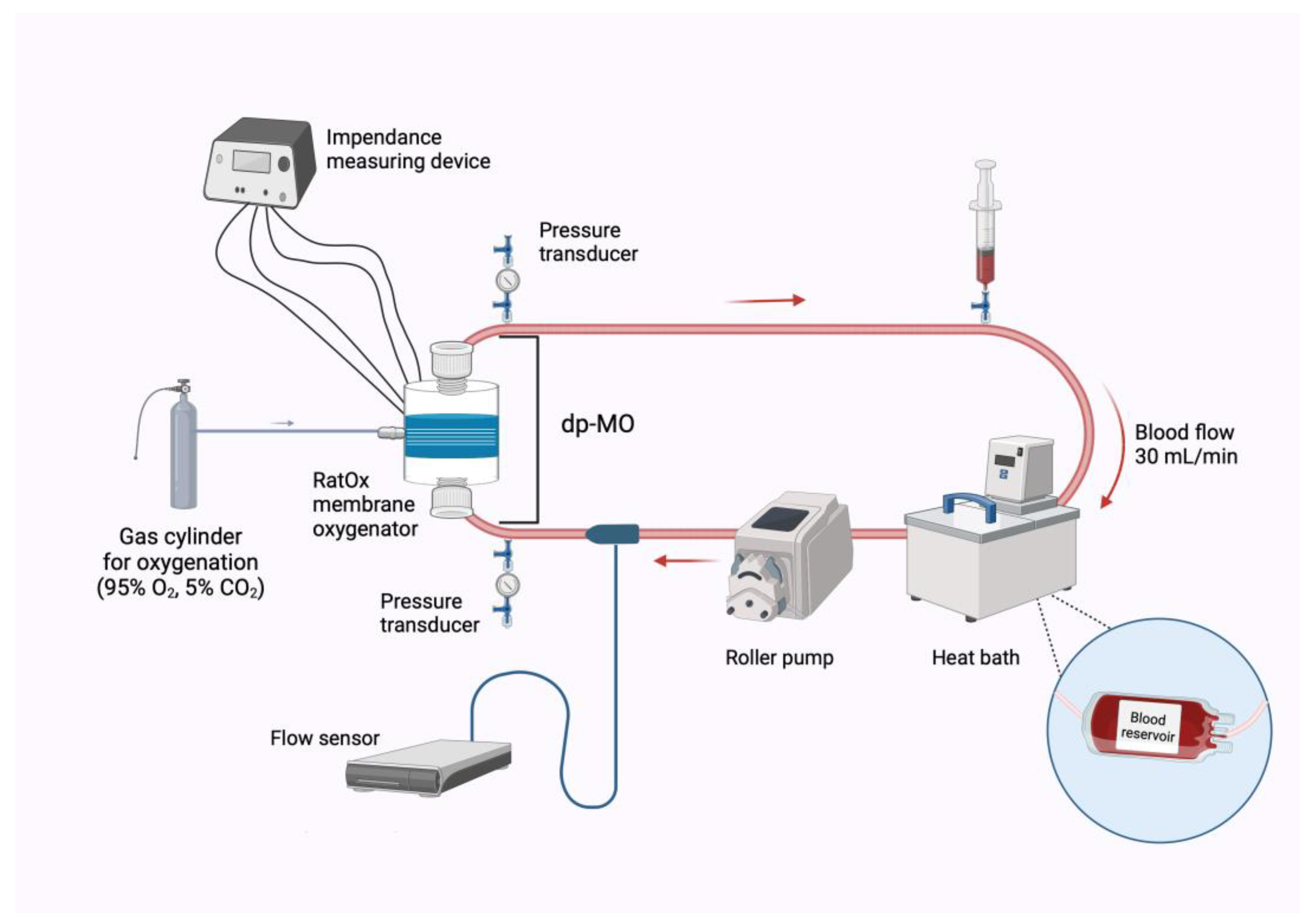 Biosensors 14 00511 g002
