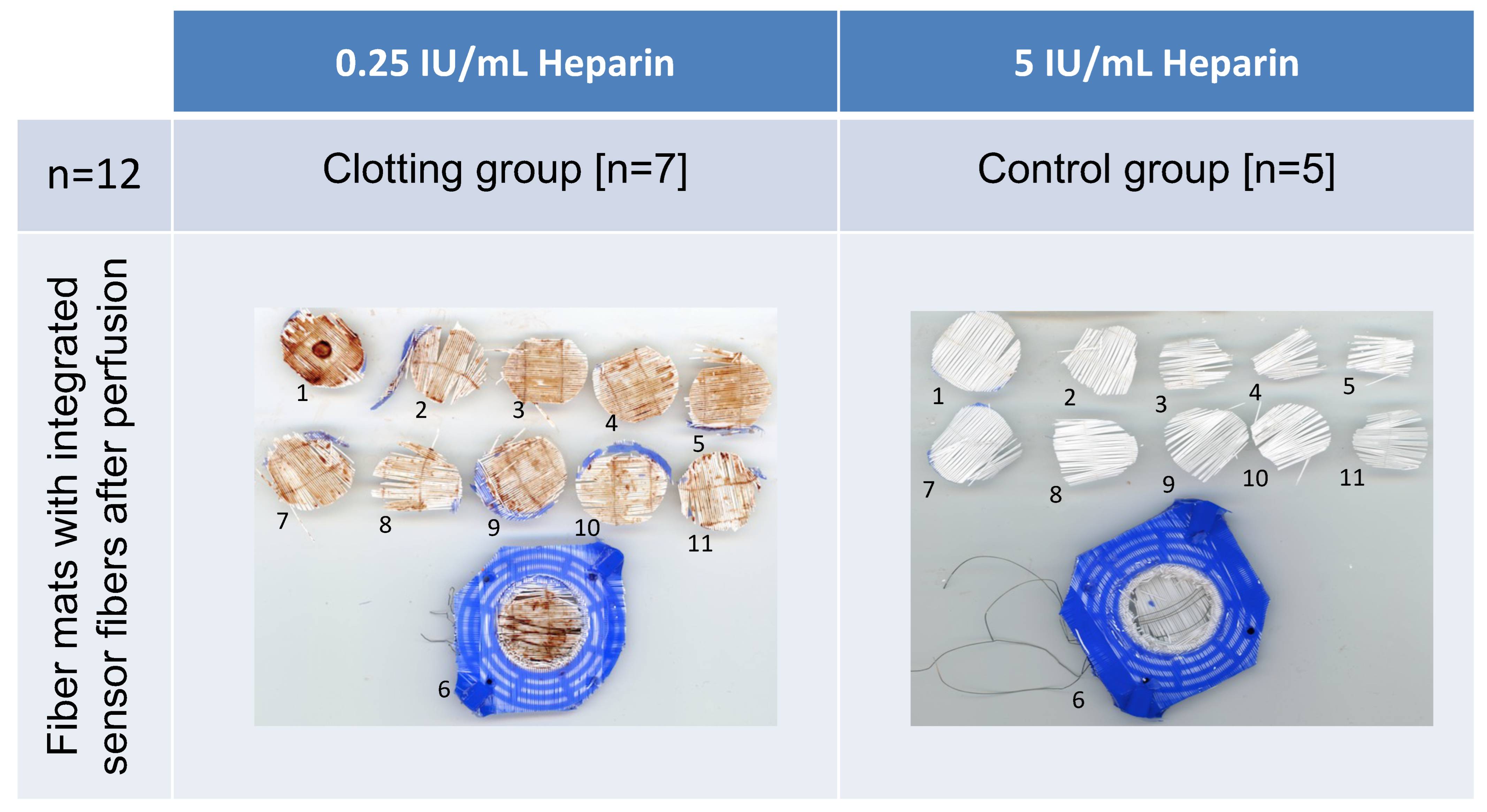Biosensors 14 00511 g003
