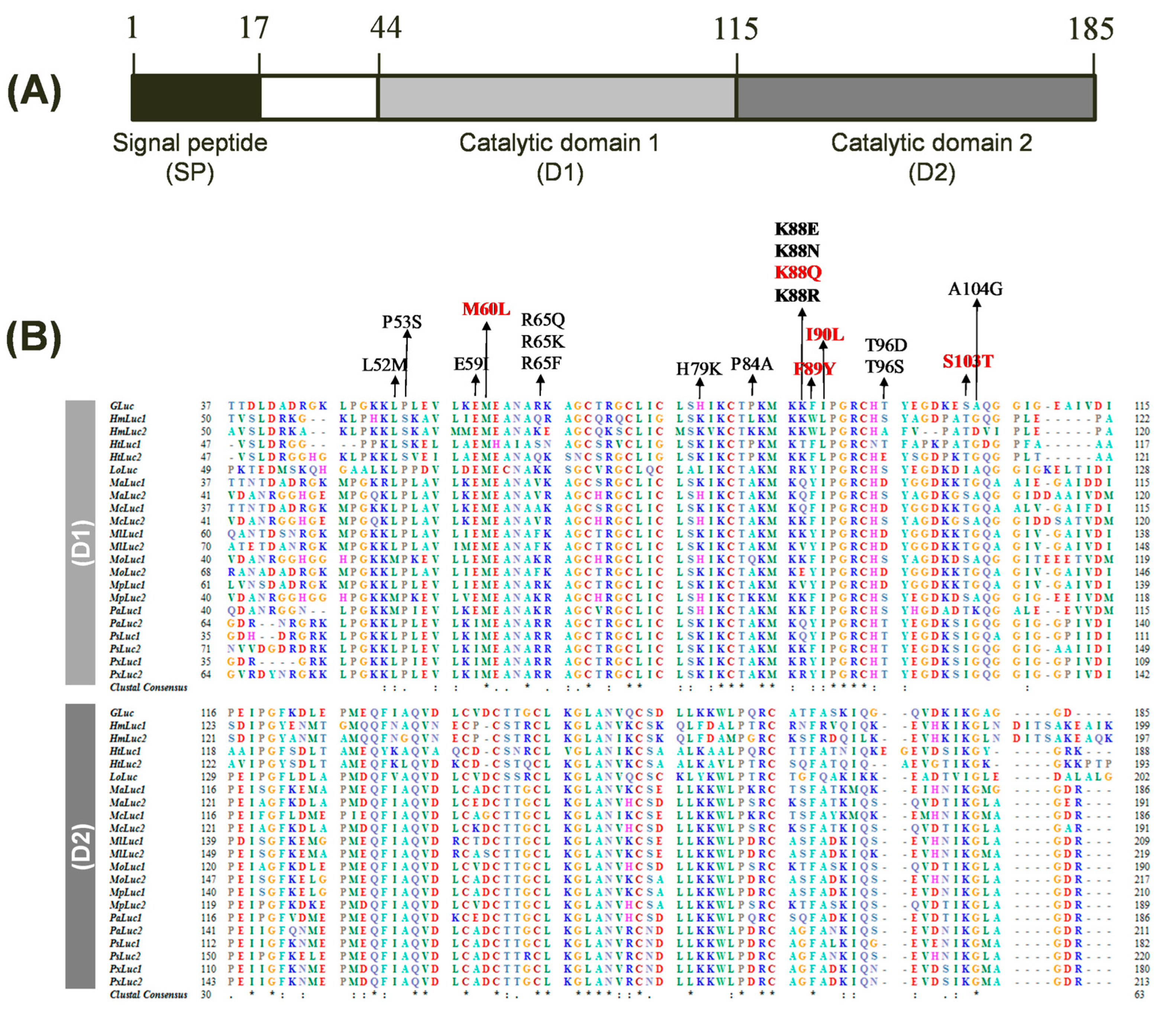 Biosensors 14 00528 g001
