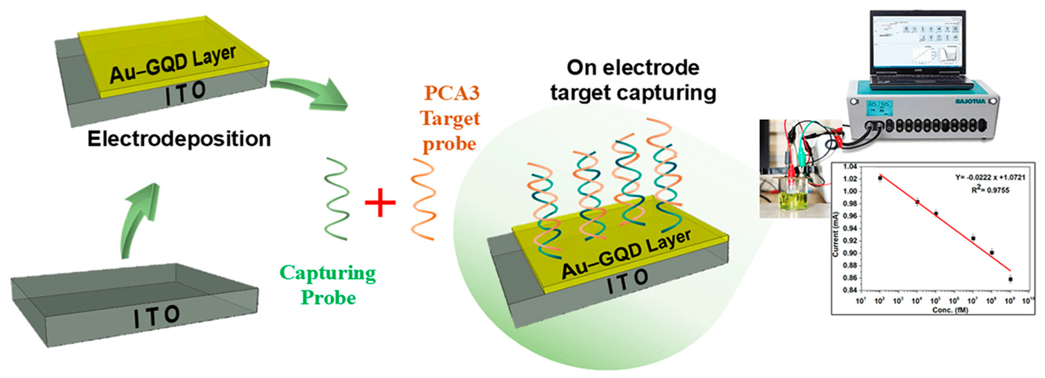 Biosensors 14 00534 g001