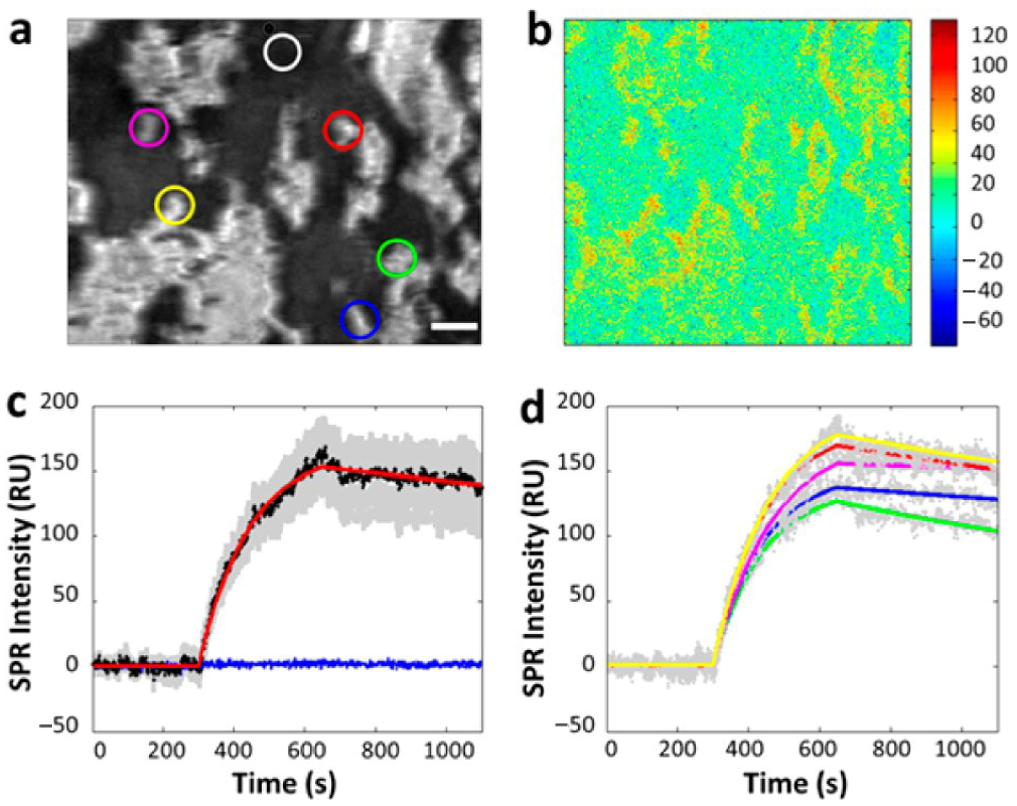 Biosensors 14 00537 g006