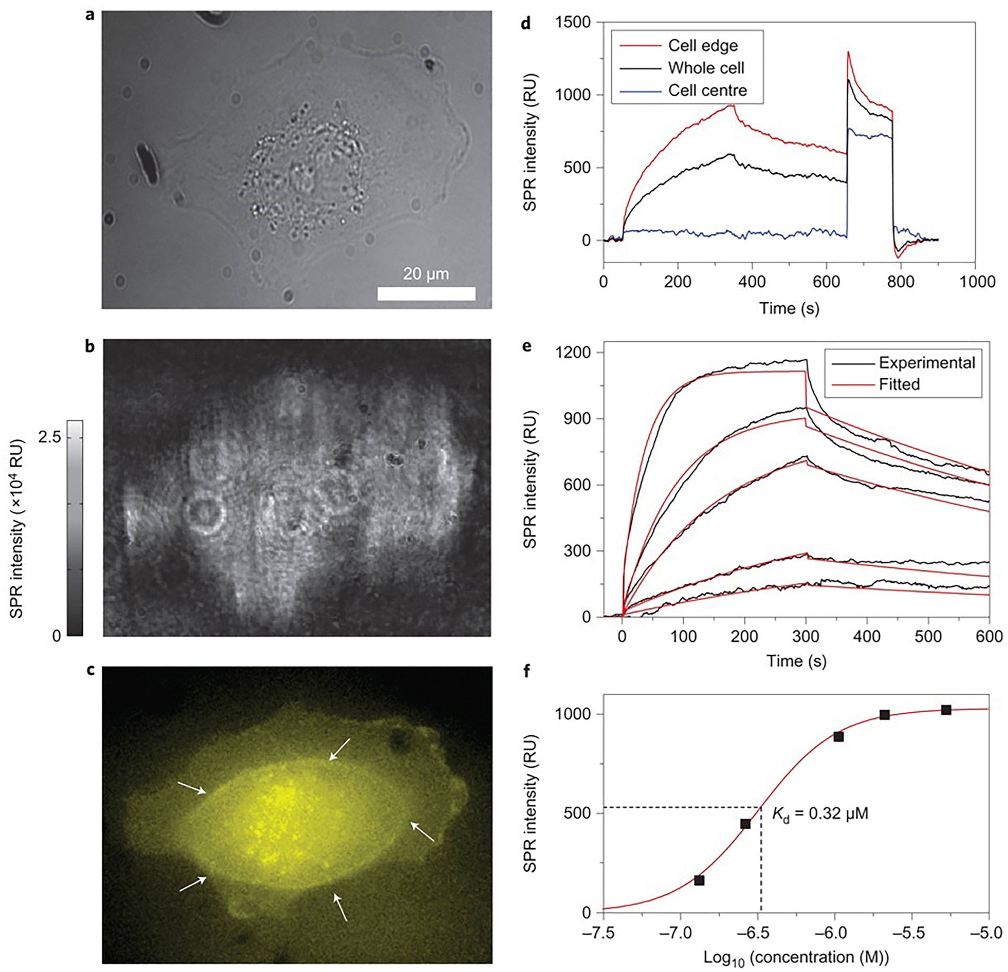 Biosensors 14 00537 g007