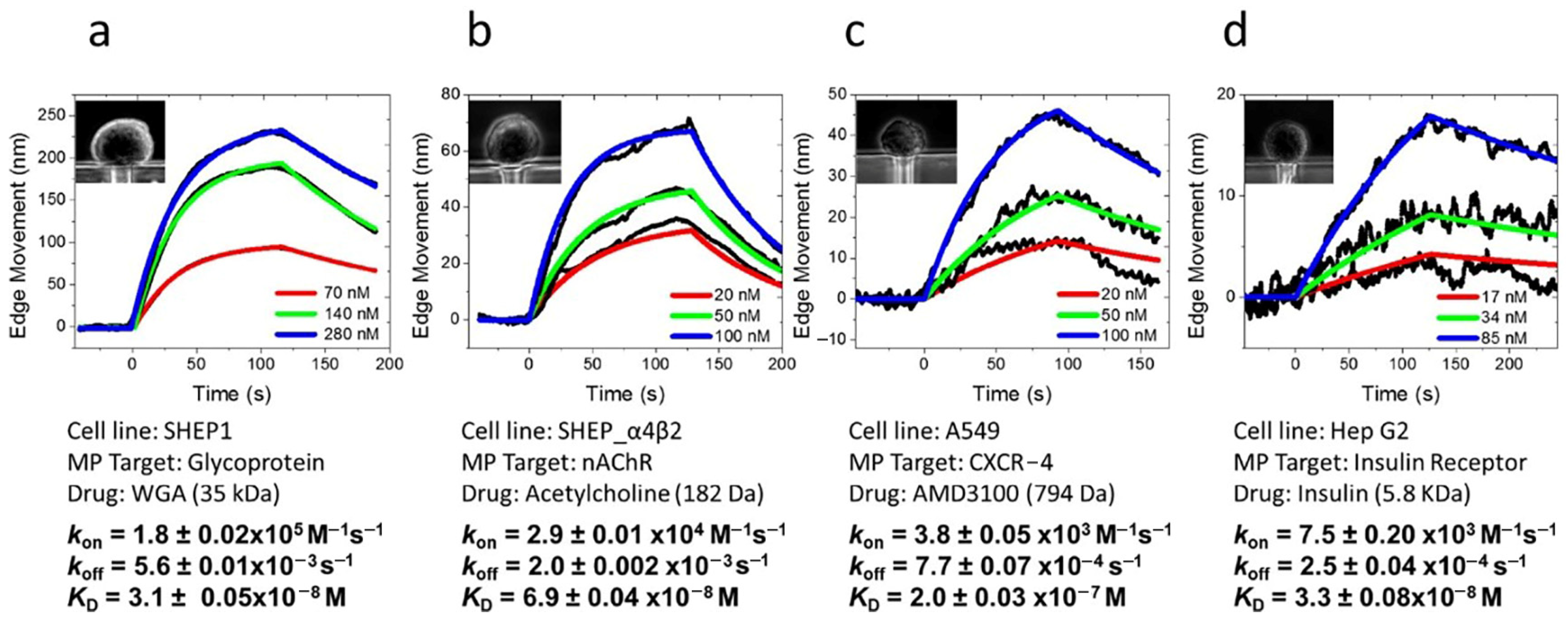 Biosensors 14 00537 g009