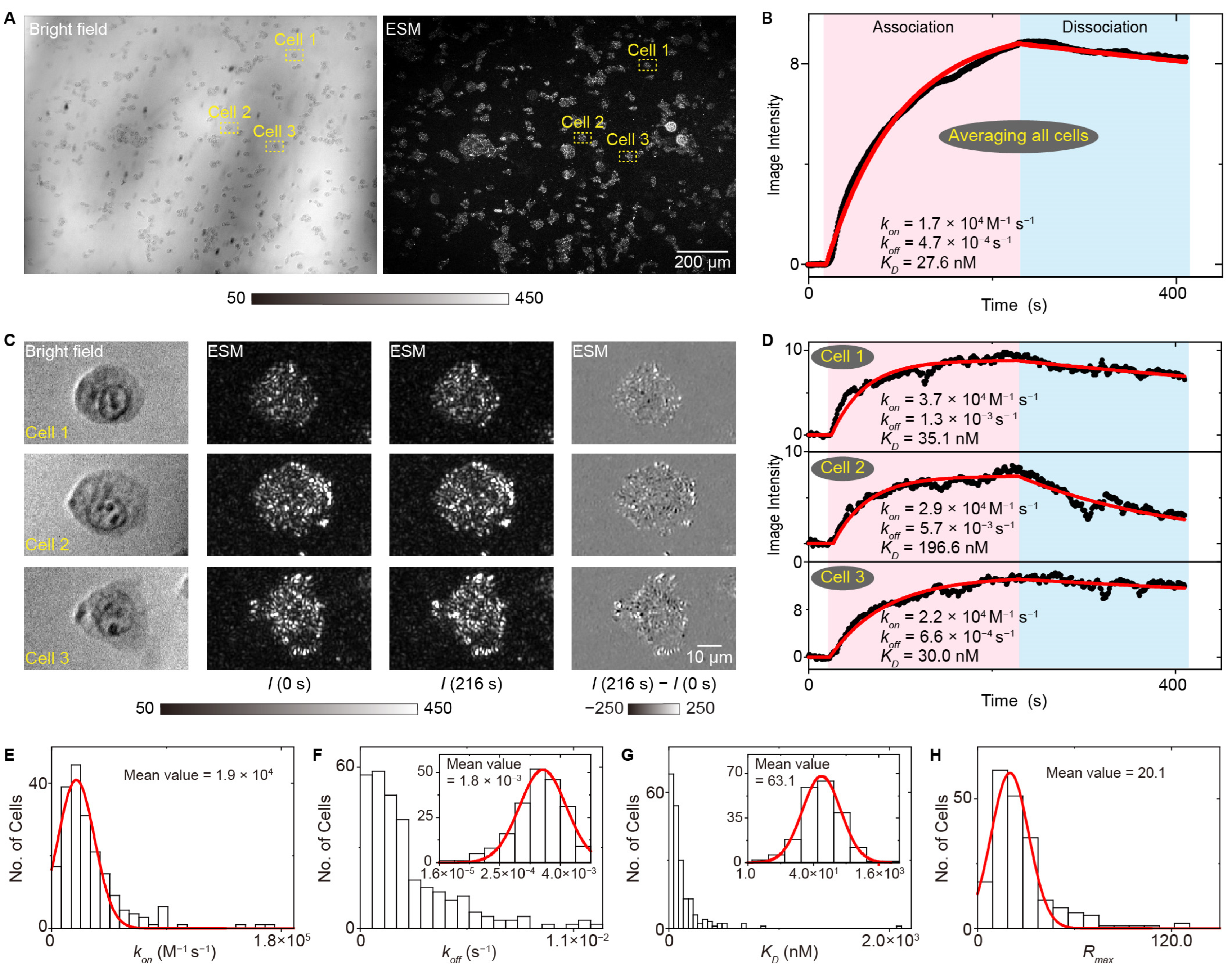 Biosensors 14 00537 g011