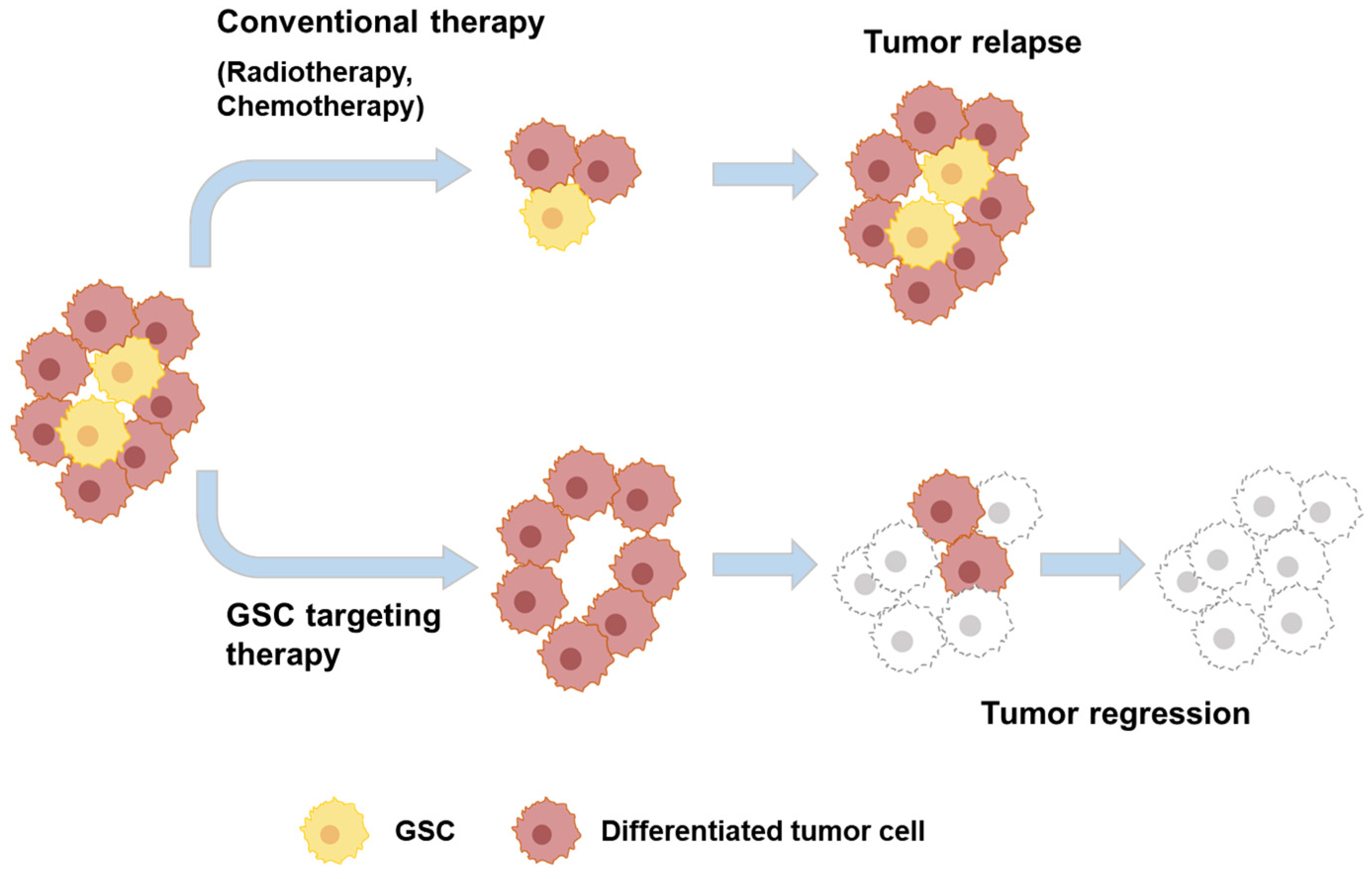 Biosensors 14 00539 g002