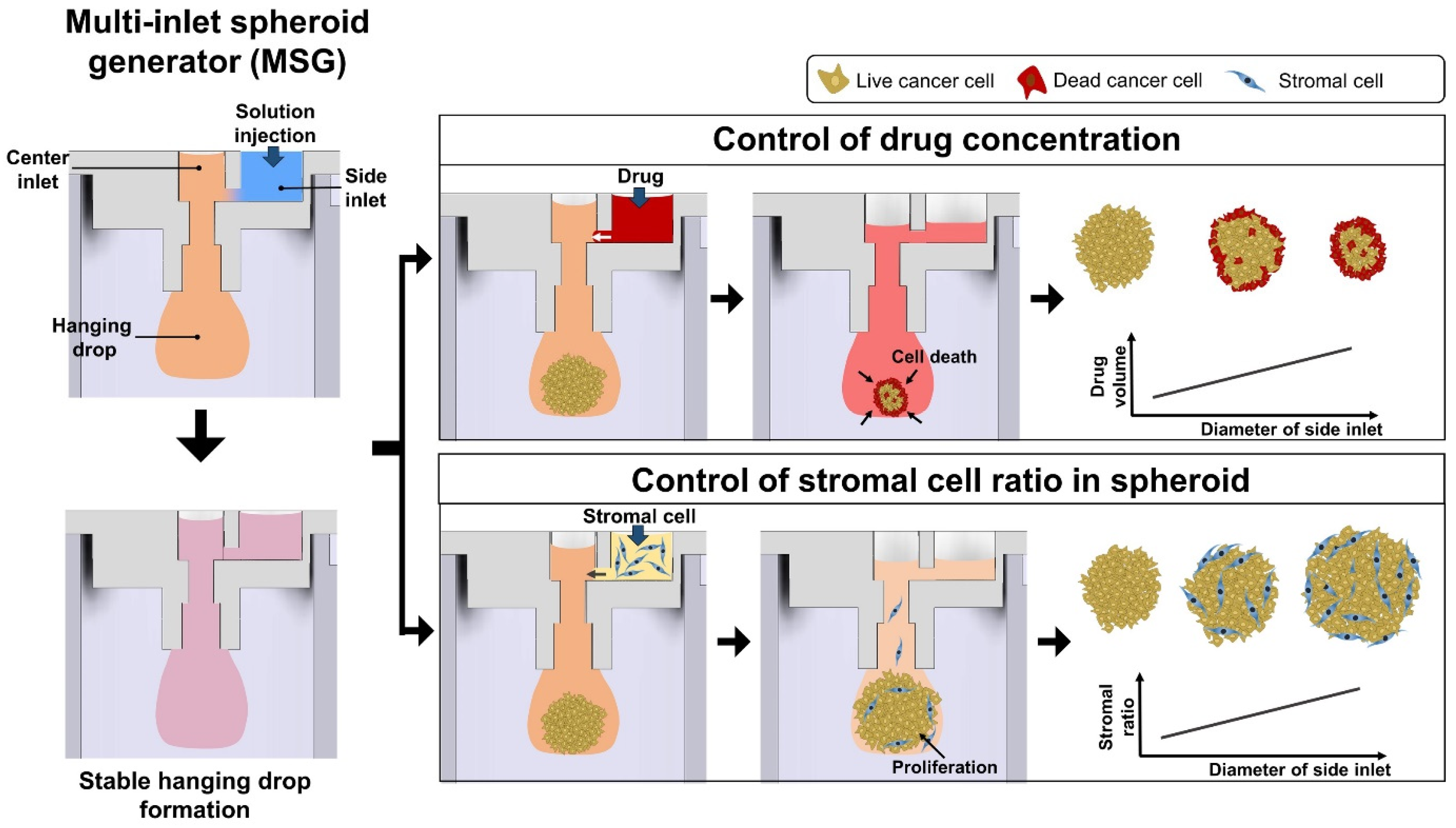 Biosensors 14 00539 g003