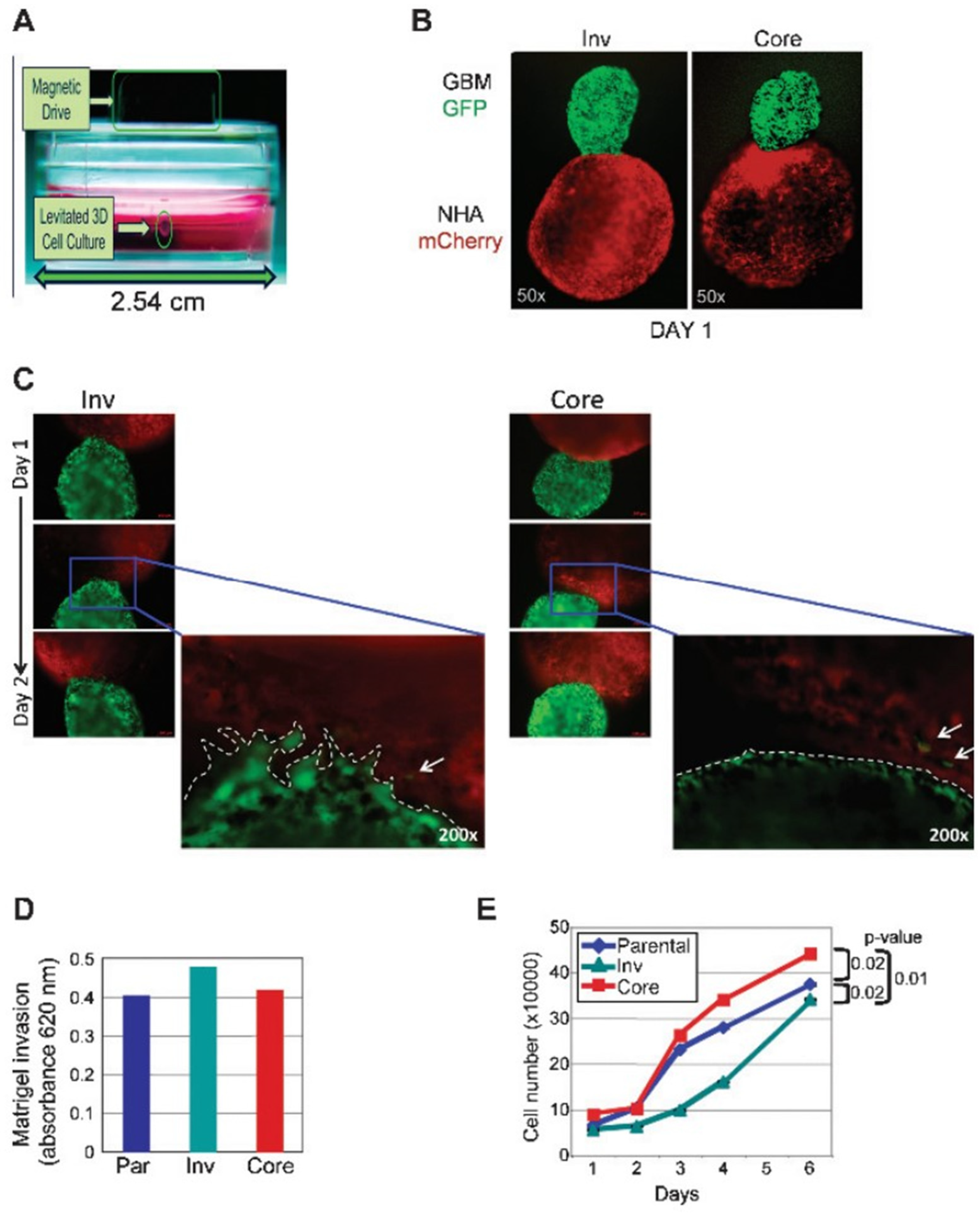 Biosensors 14 00539 g005