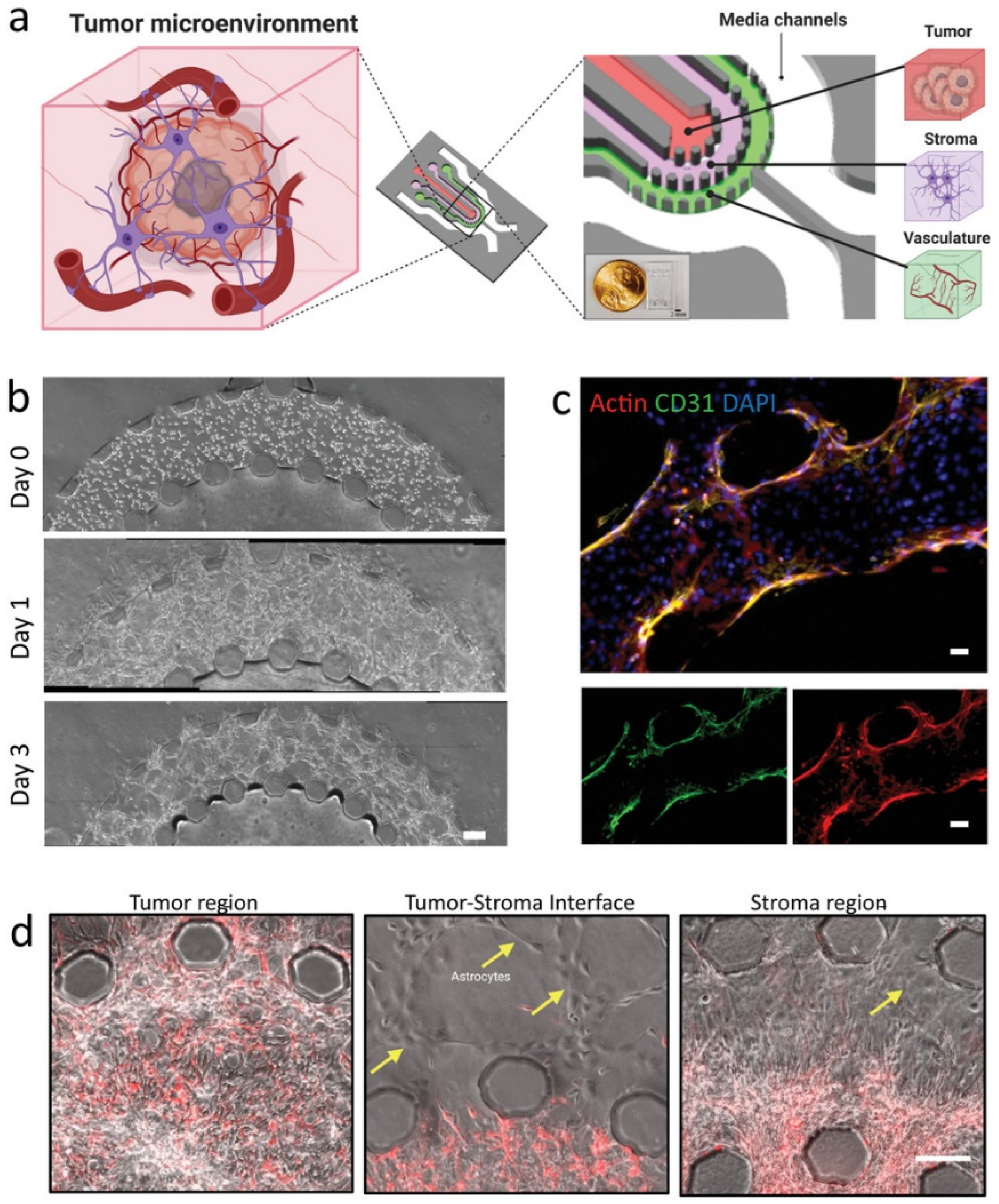 Biosensors 14 00539 g009