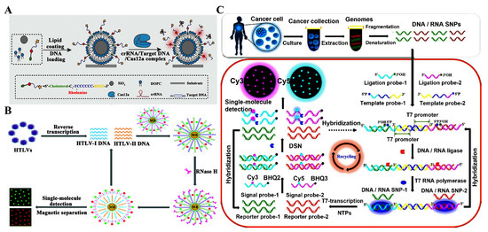 Biosensors 14 00540 g001