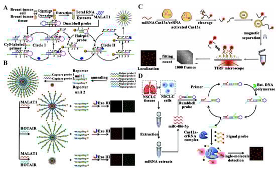 Biosensors 14 00540 g003