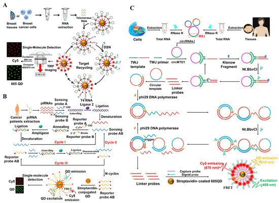 Biosensors 14 00540 g004
