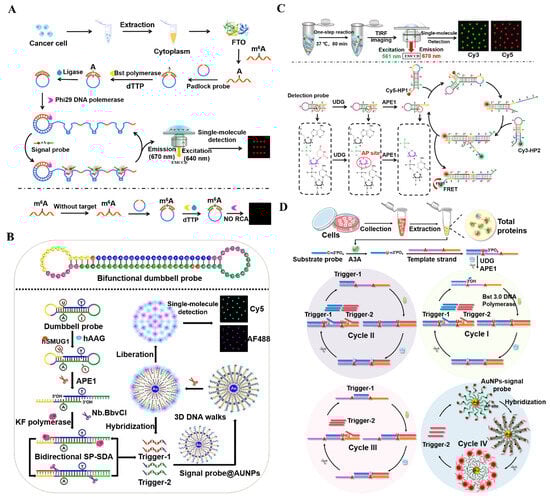 Biosensors 14 00540 g005