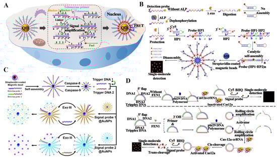 Biosensors 14 00540 g006