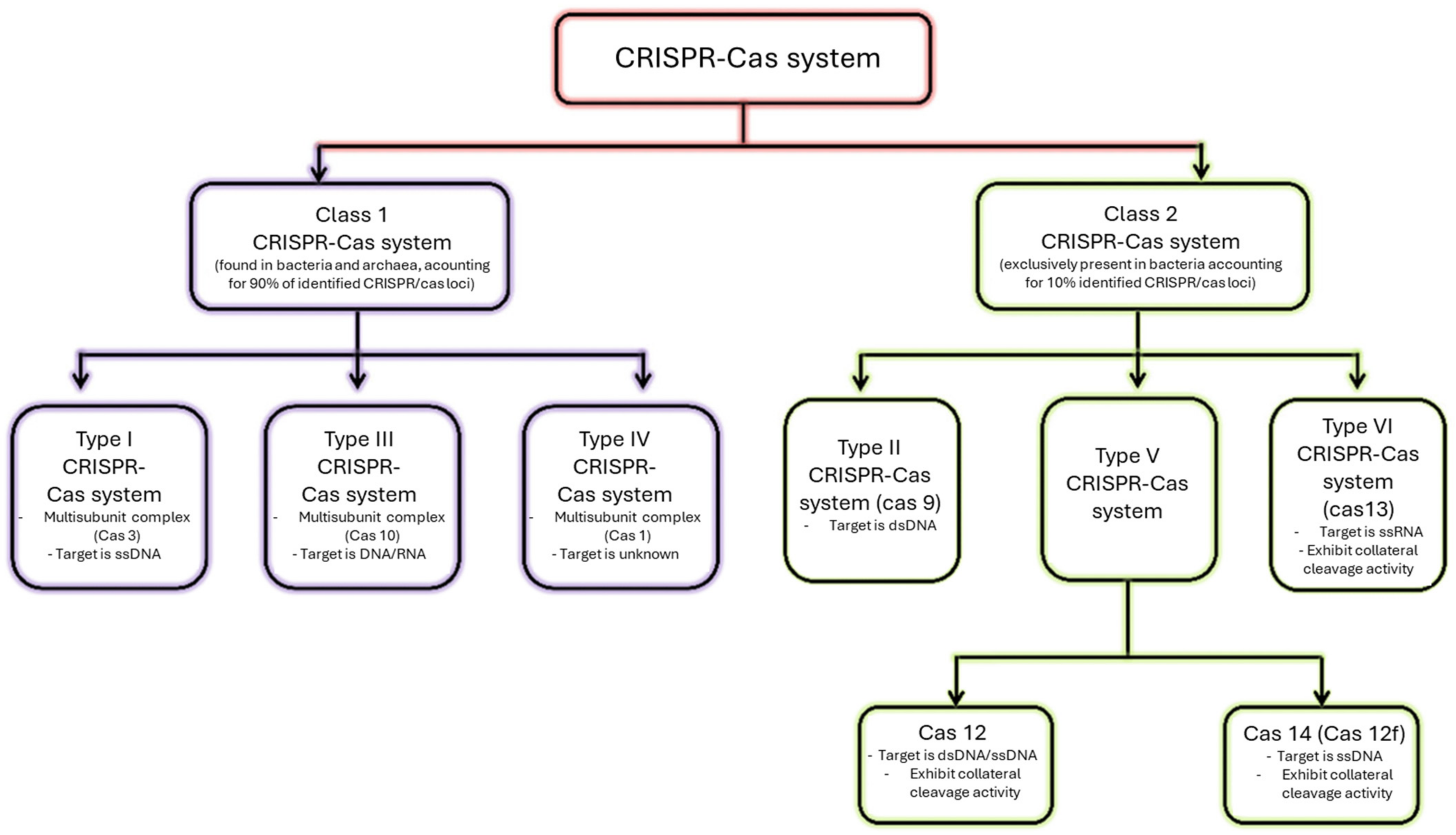 Biosensors 14 00541 g002