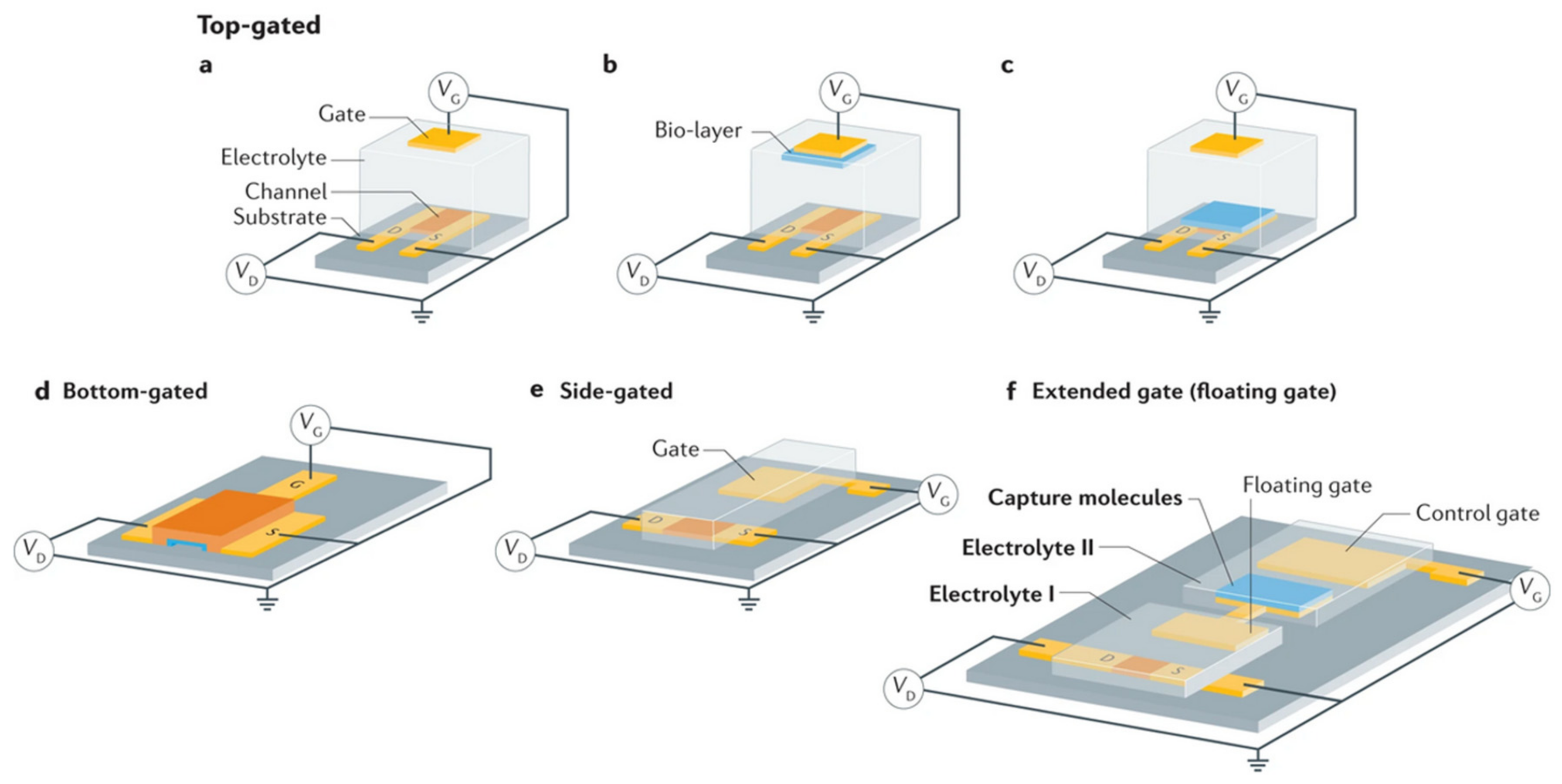 Biosensors 14 00541 g006