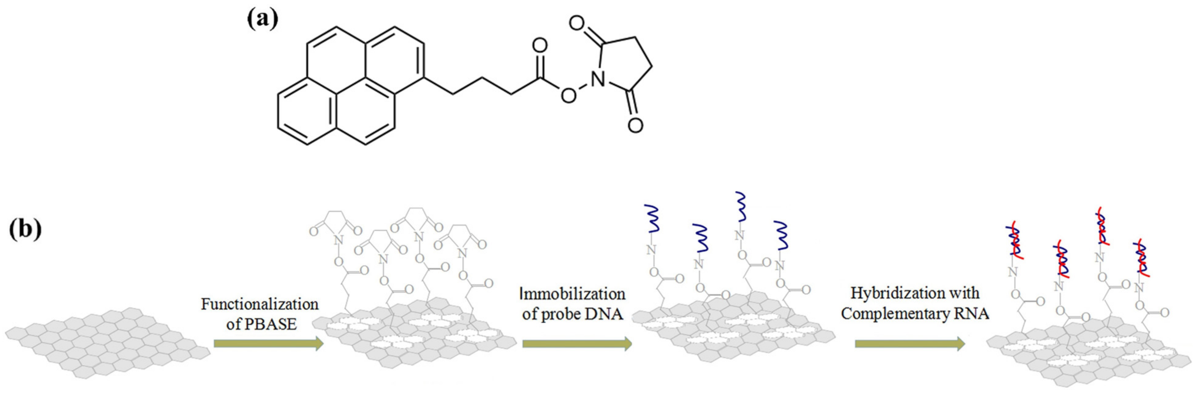 Biosensors 14 00541 g009