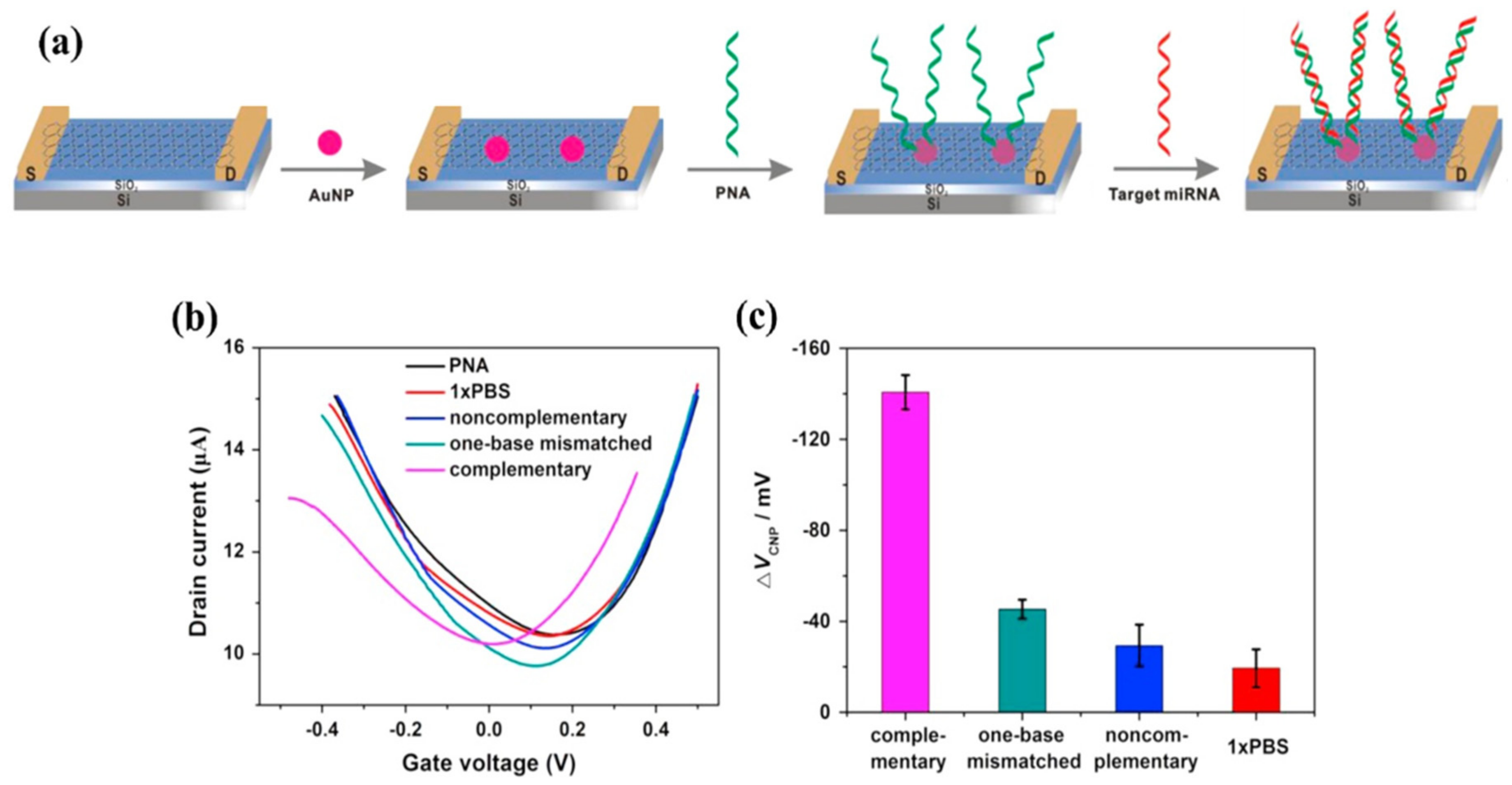 Biosensors 14 00541 g010