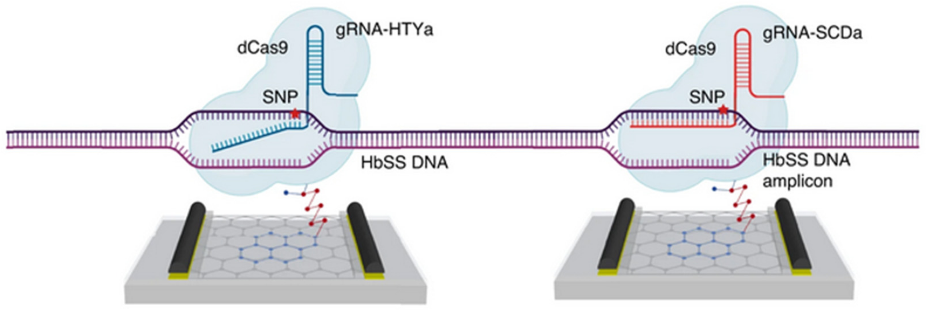 Biosensors 14 00541 g013