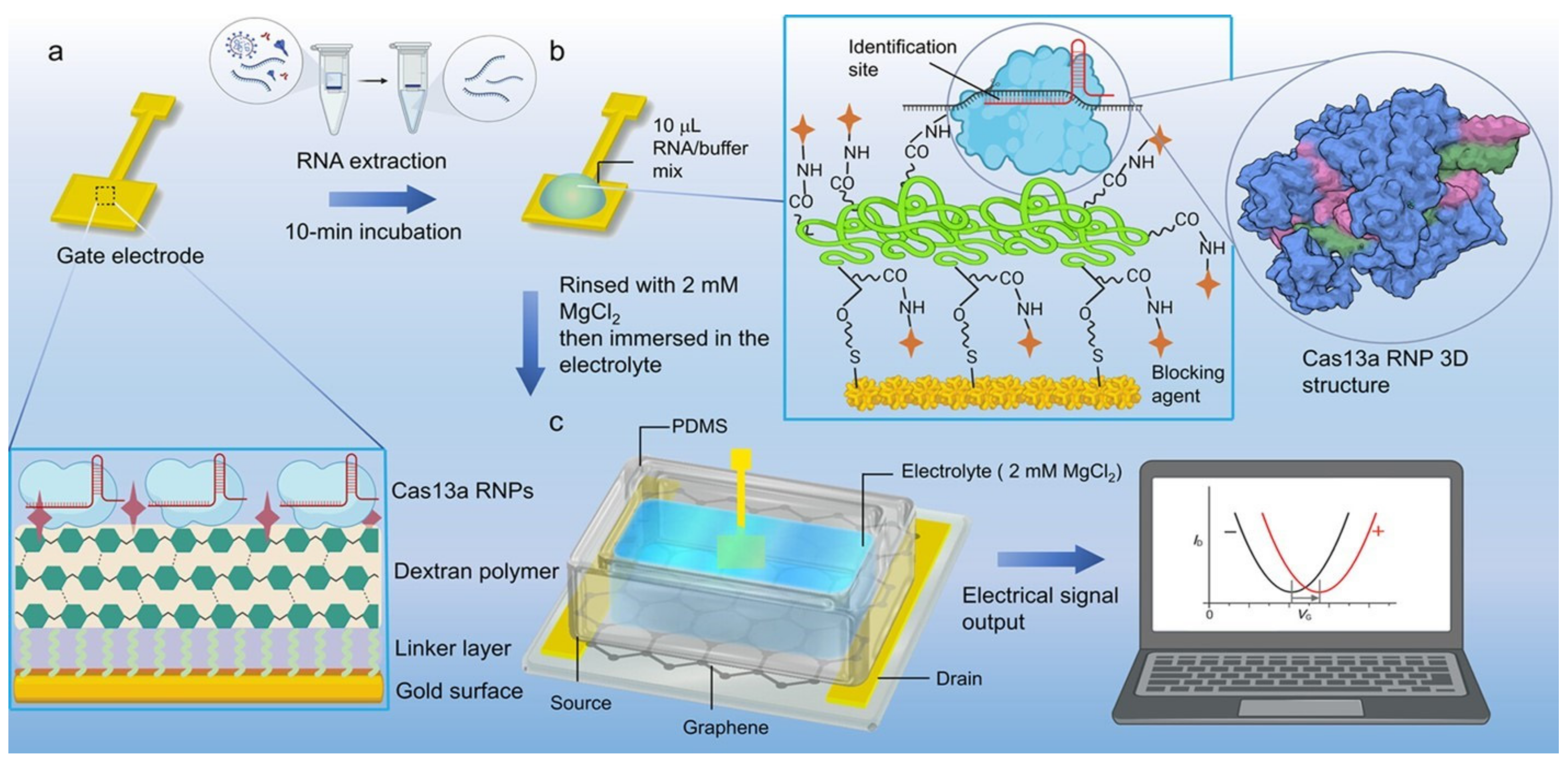 Biosensors 14 00541 g014