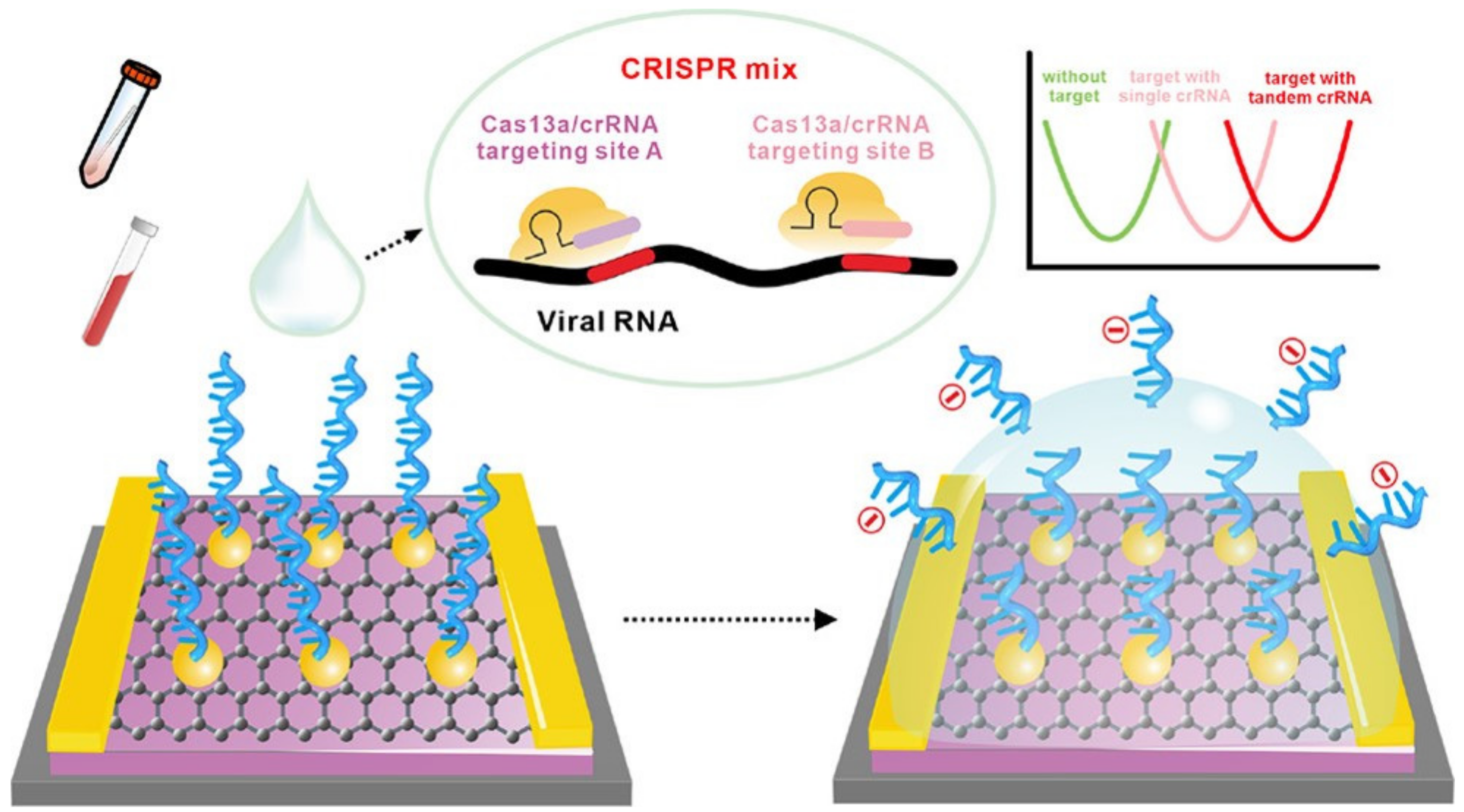 Biosensors 14 00541 g016