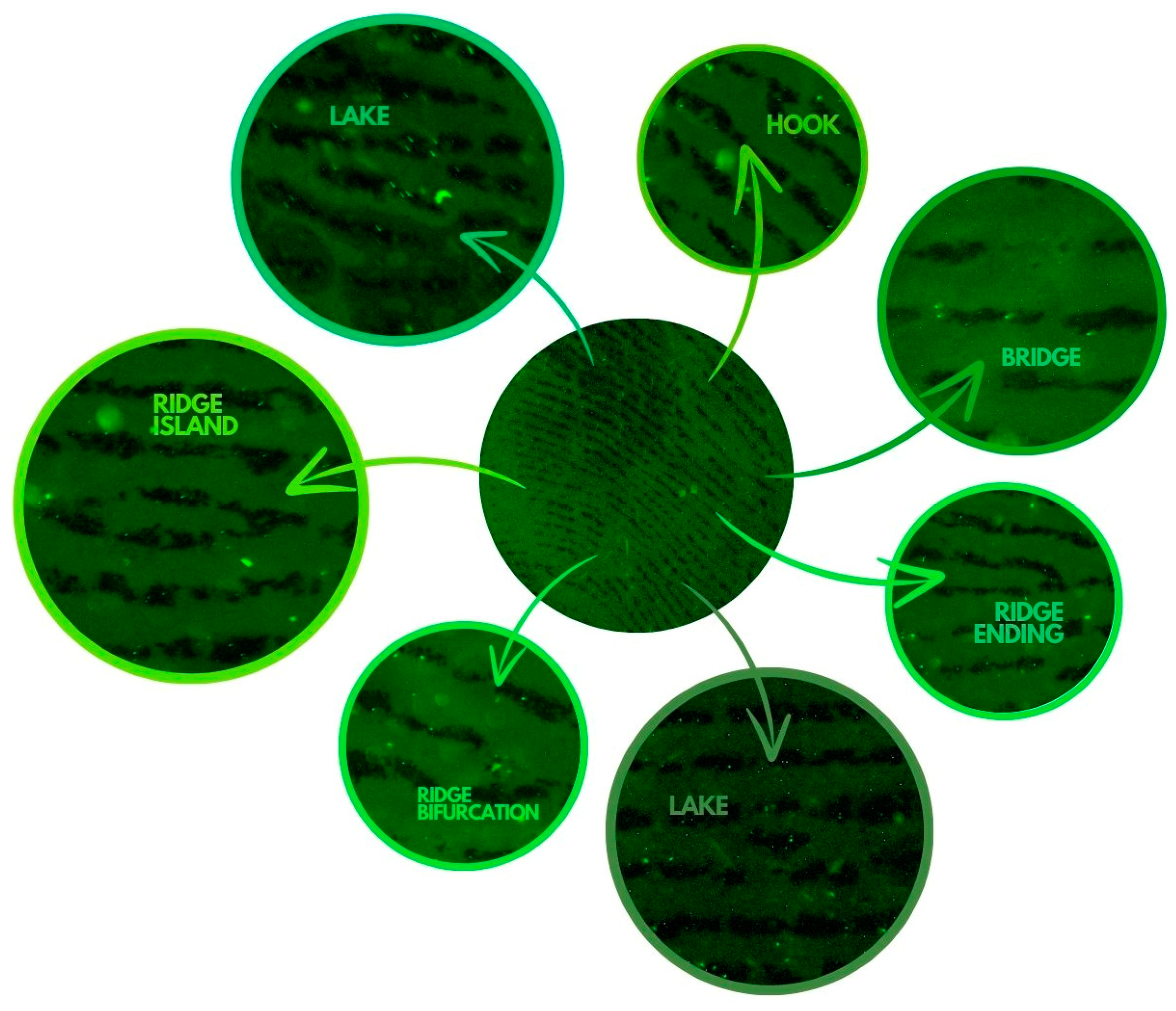 Biosensors 14 00546 g003