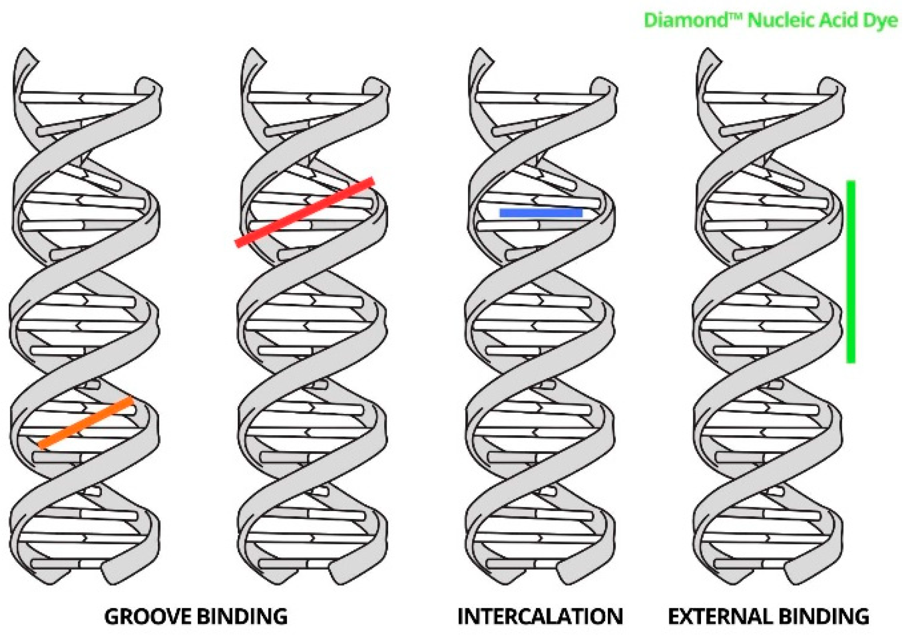Biosensors 14 00546 g004