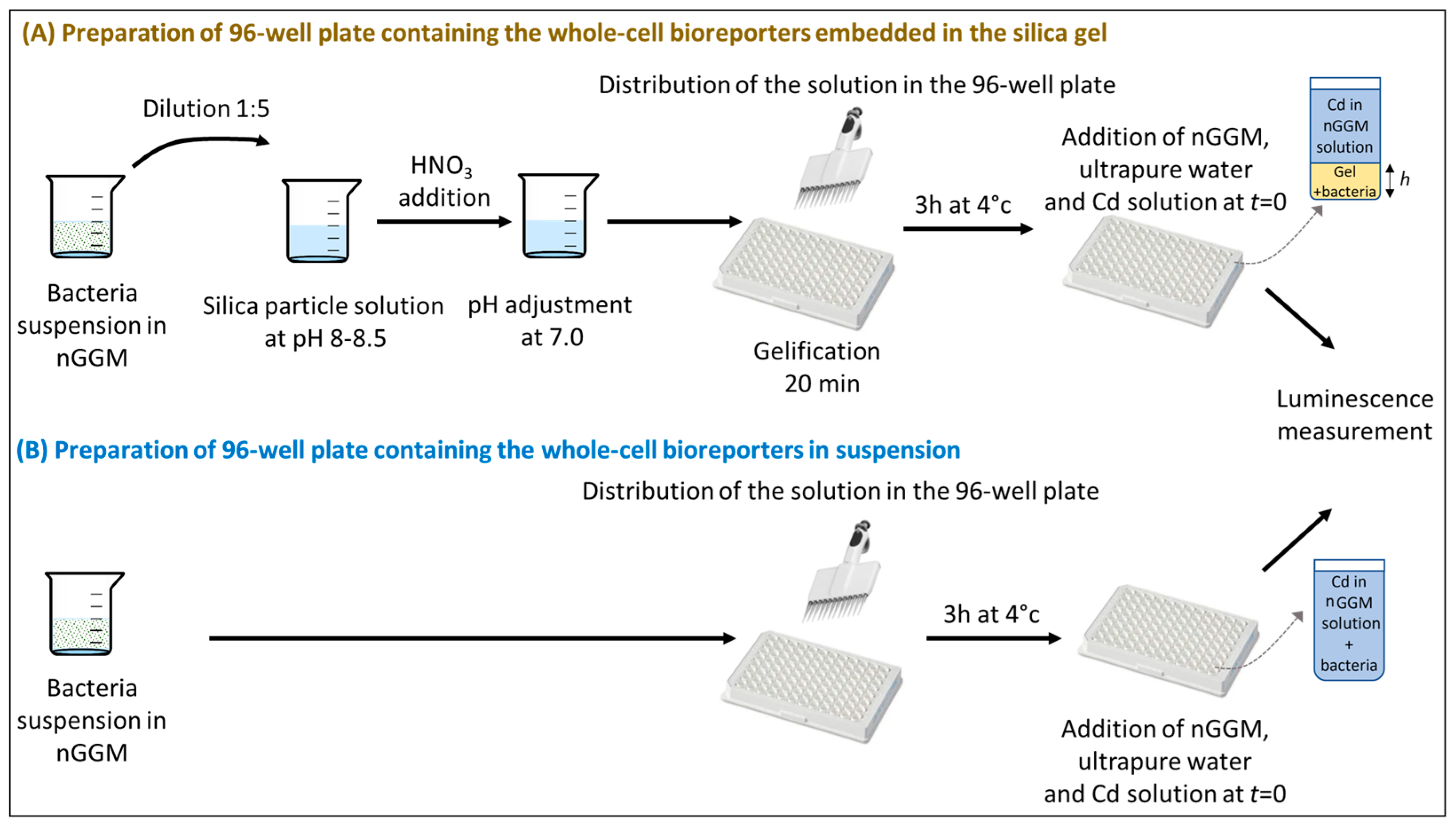 Biosensors 14 00552 g001 Biosensors 14 00552 g001