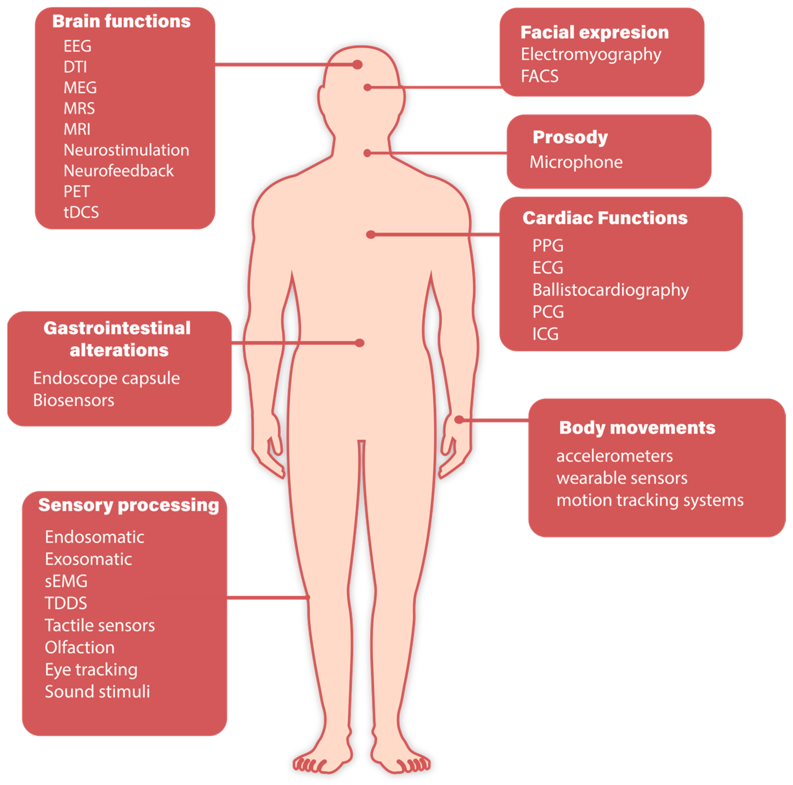Biosensors 14 00556 g001