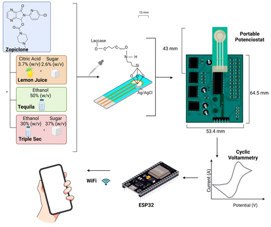 Biosensors 14 00557 g001