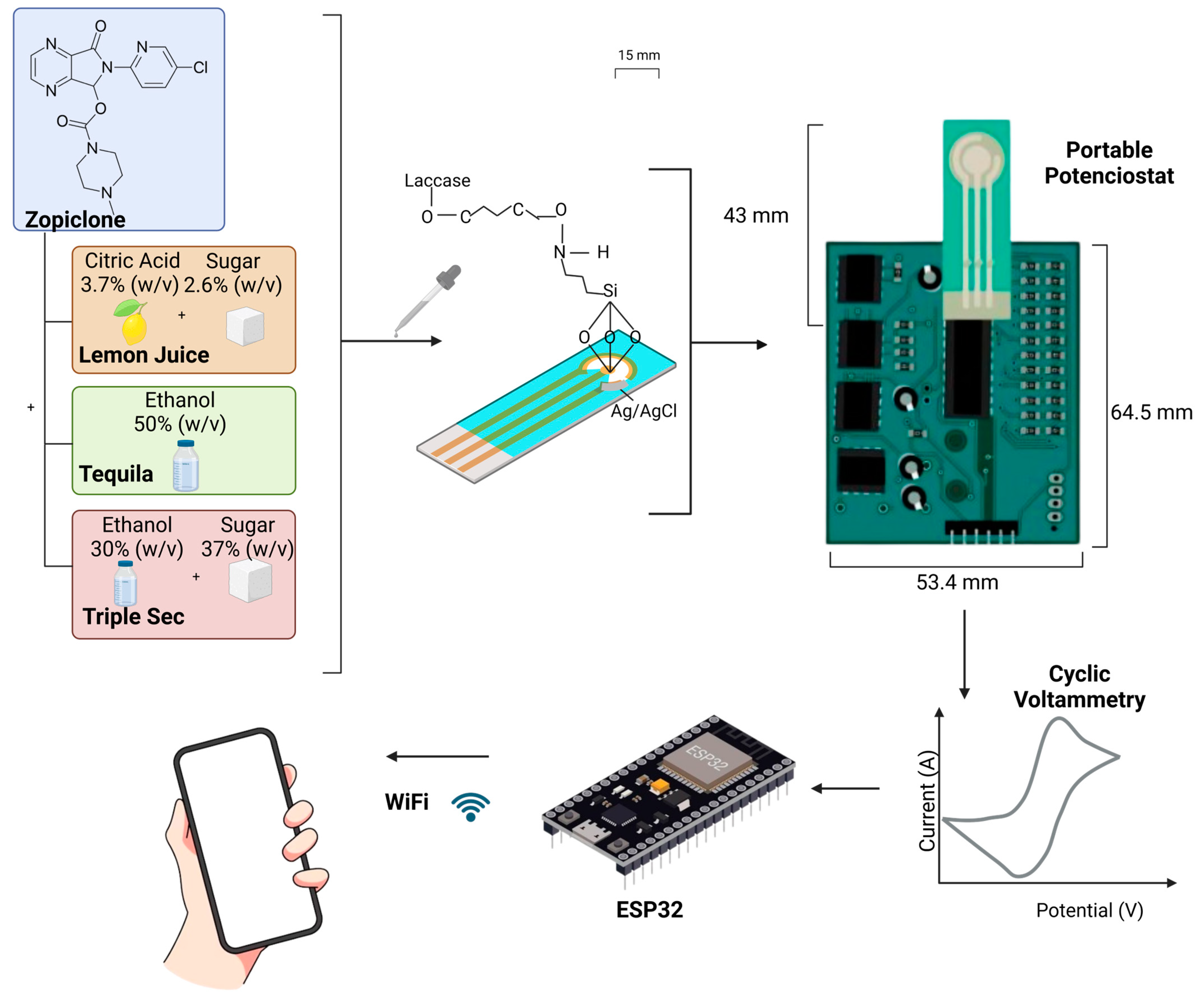 Biosensors 14 00557 g001