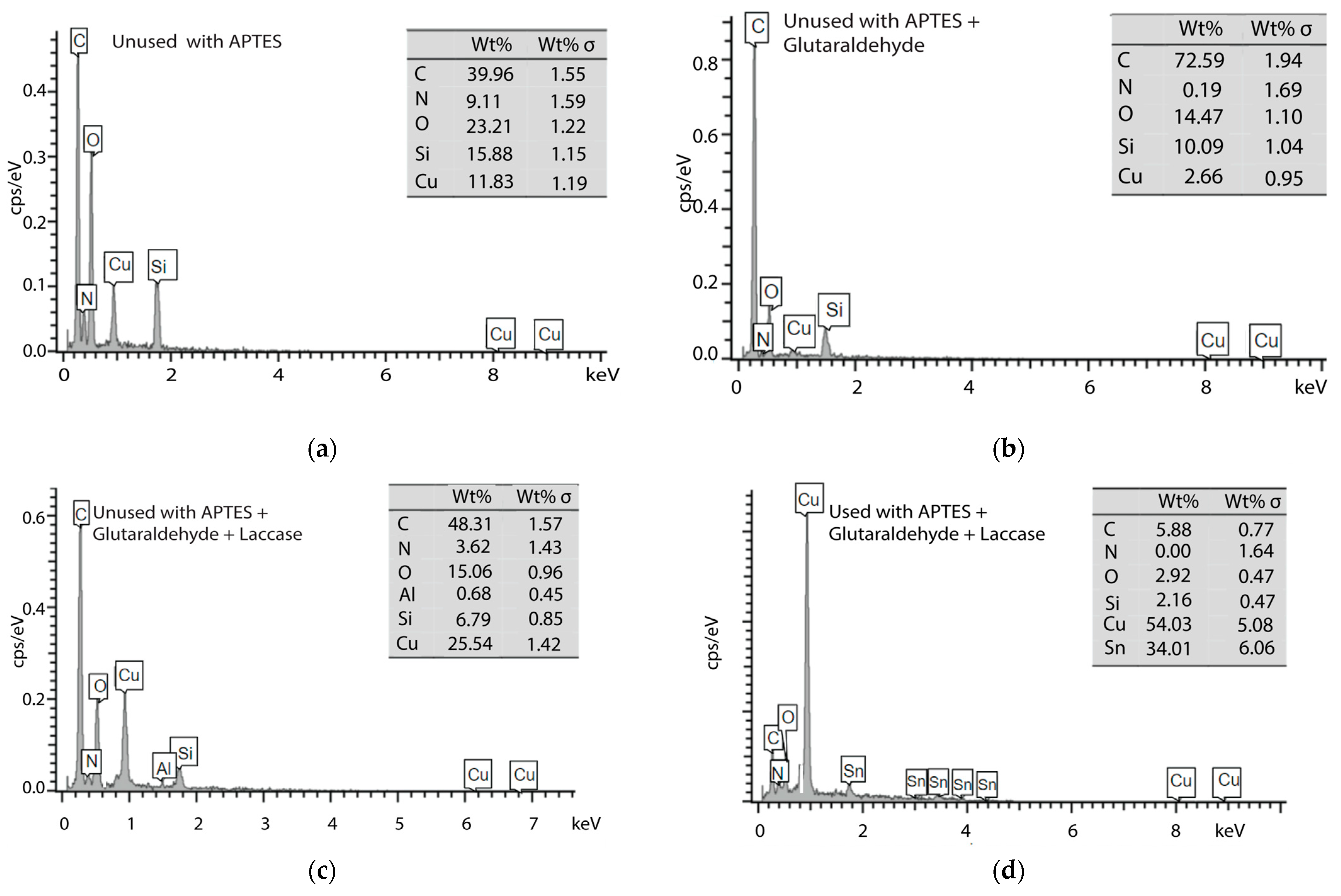Biosensors 14 00557 g005