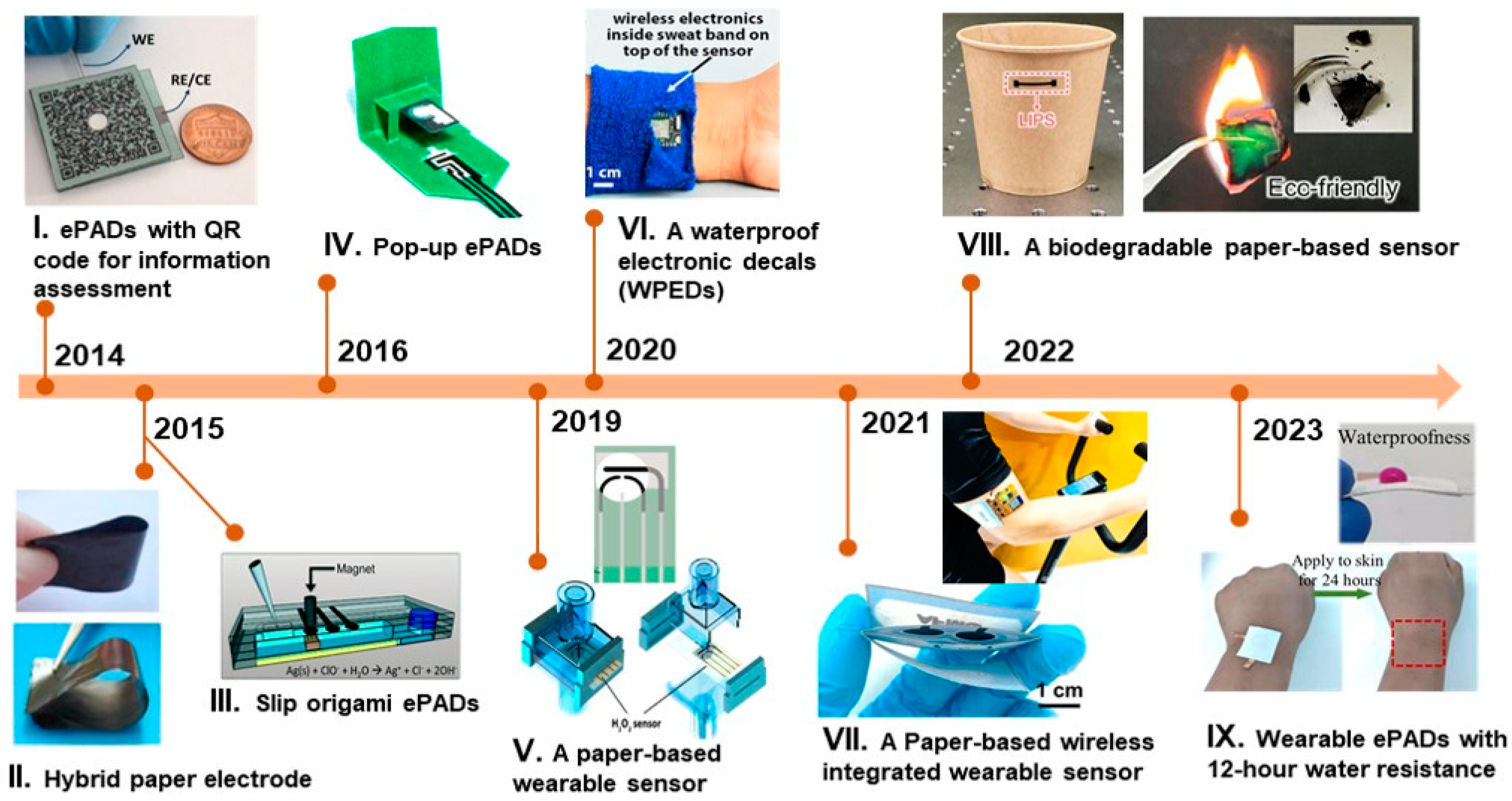 Biosensors 14 00561 g001