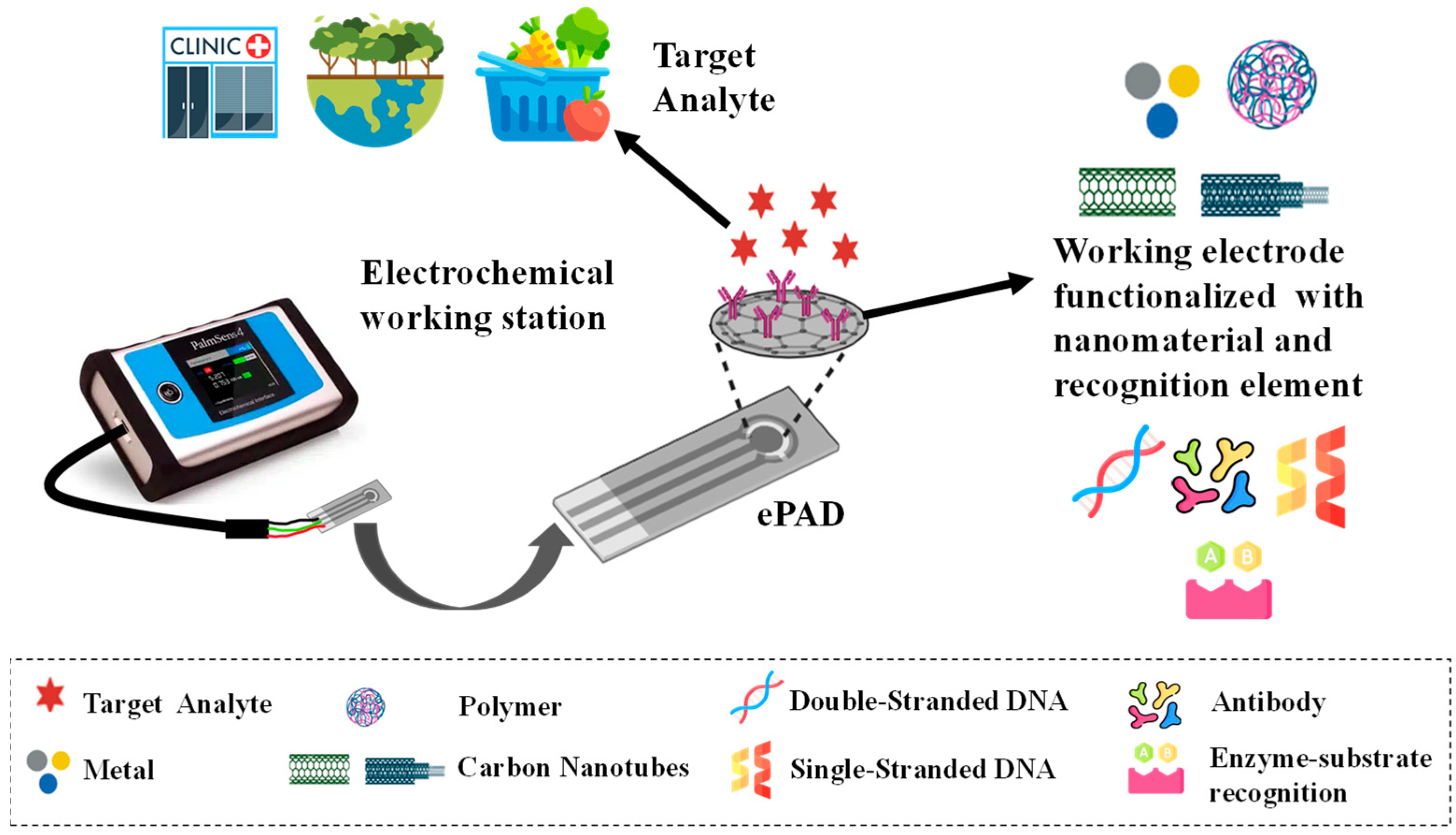 Biosensors 14 00561 g002