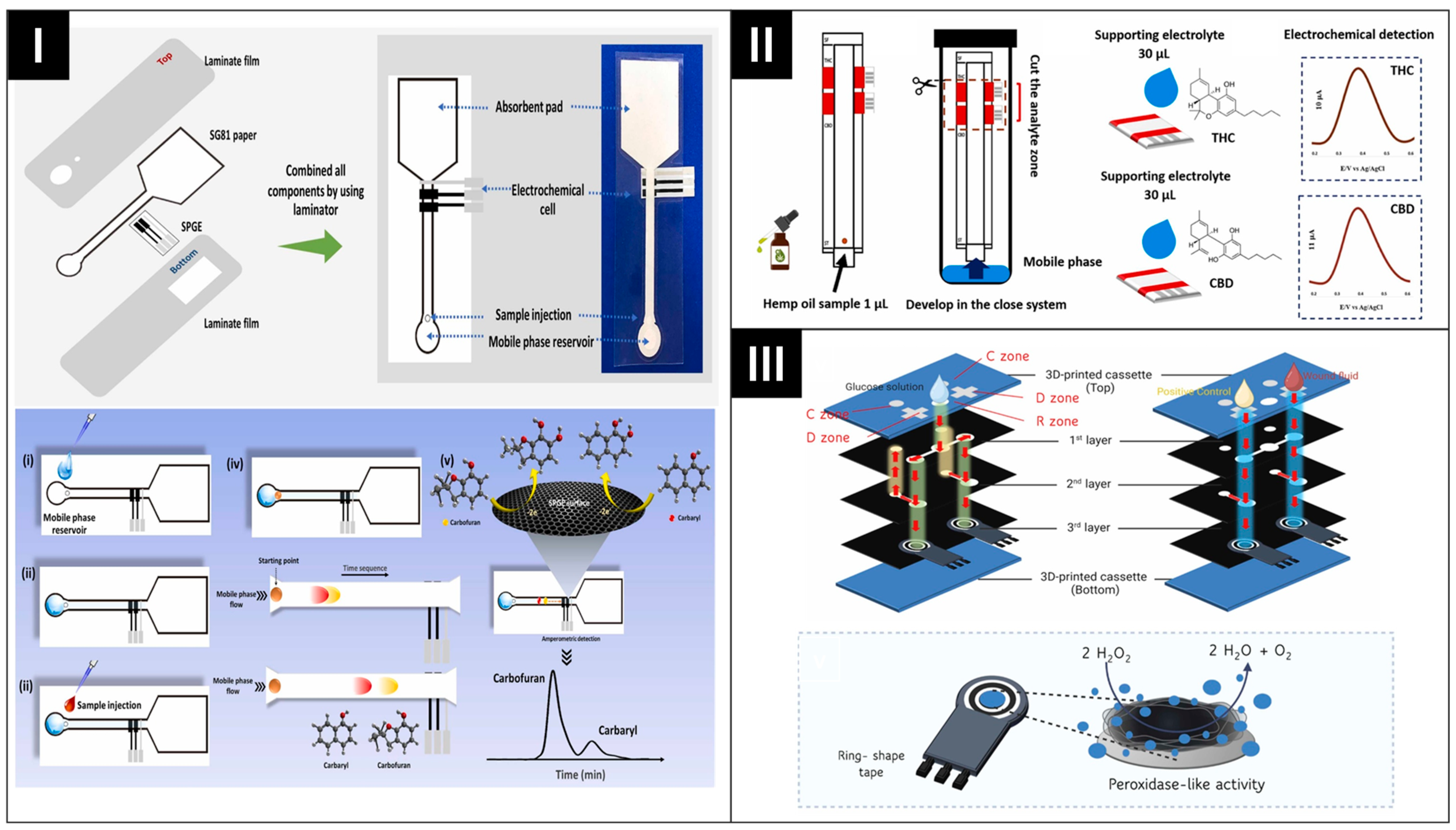 Biosensors 14 00561 g005