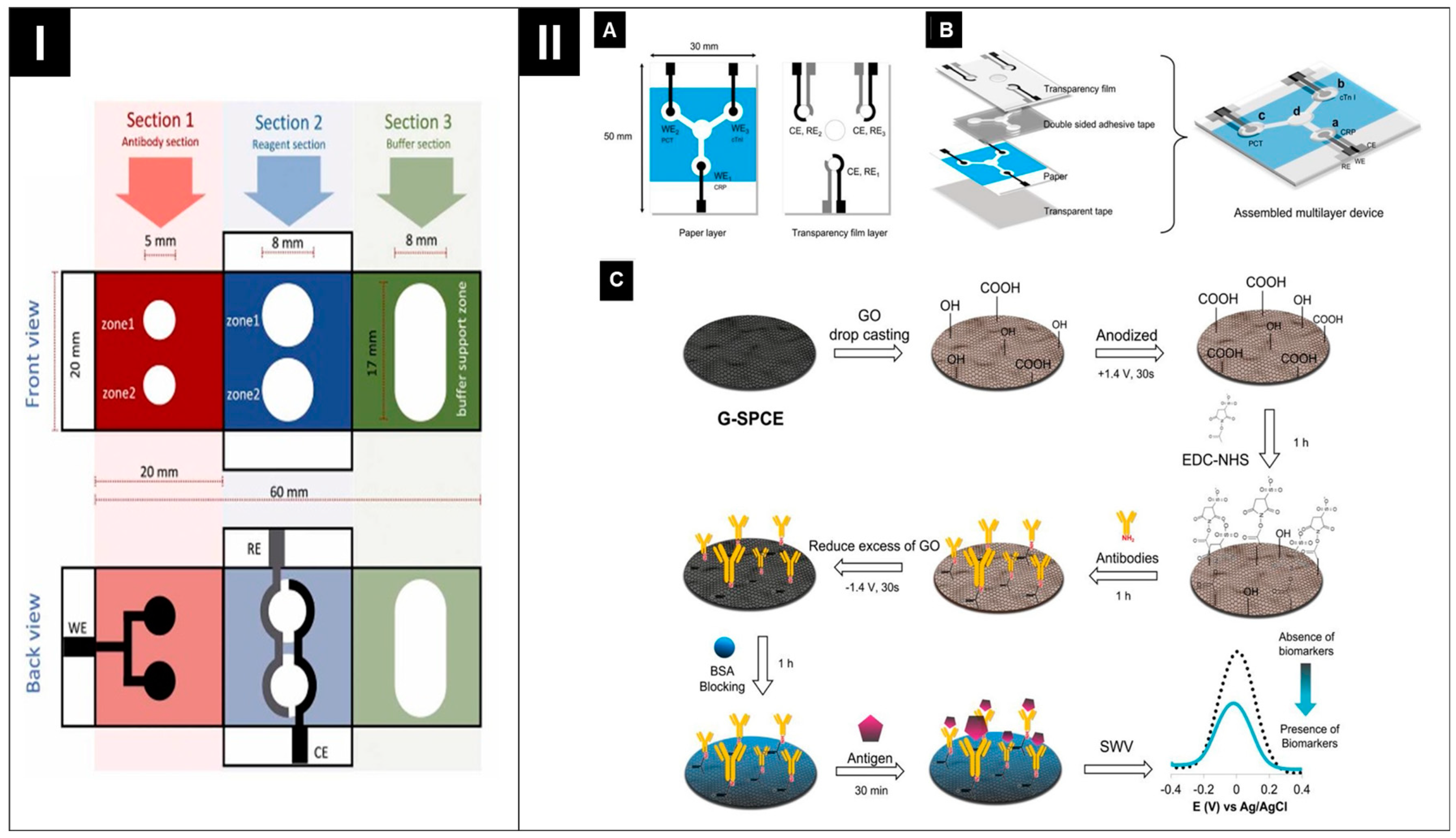 Biosensors 14 00561 g006