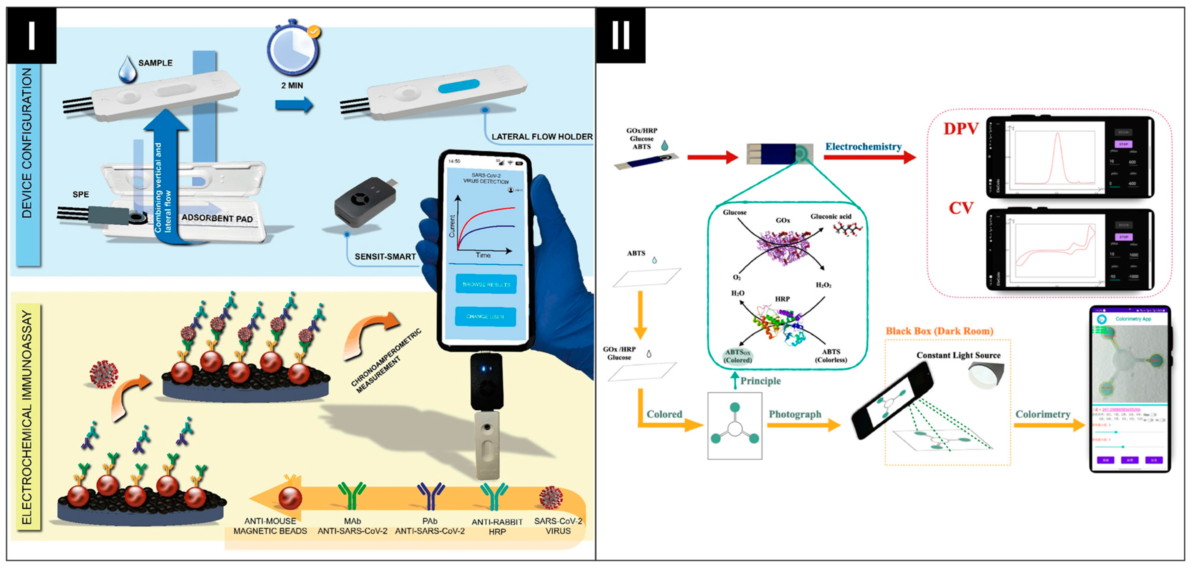 Biosensors 14 00561 g010
