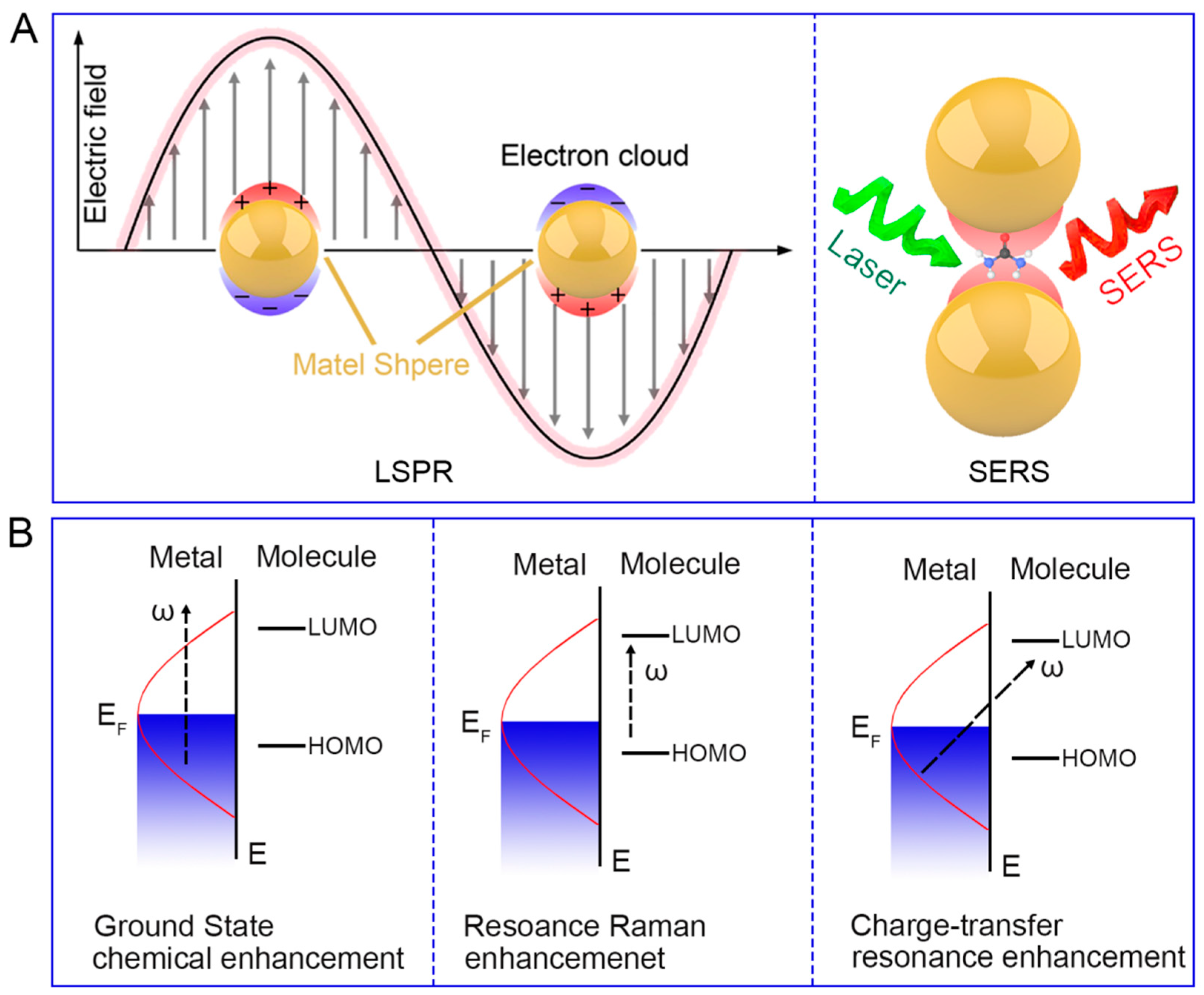 Biosensors 14 00564 g001