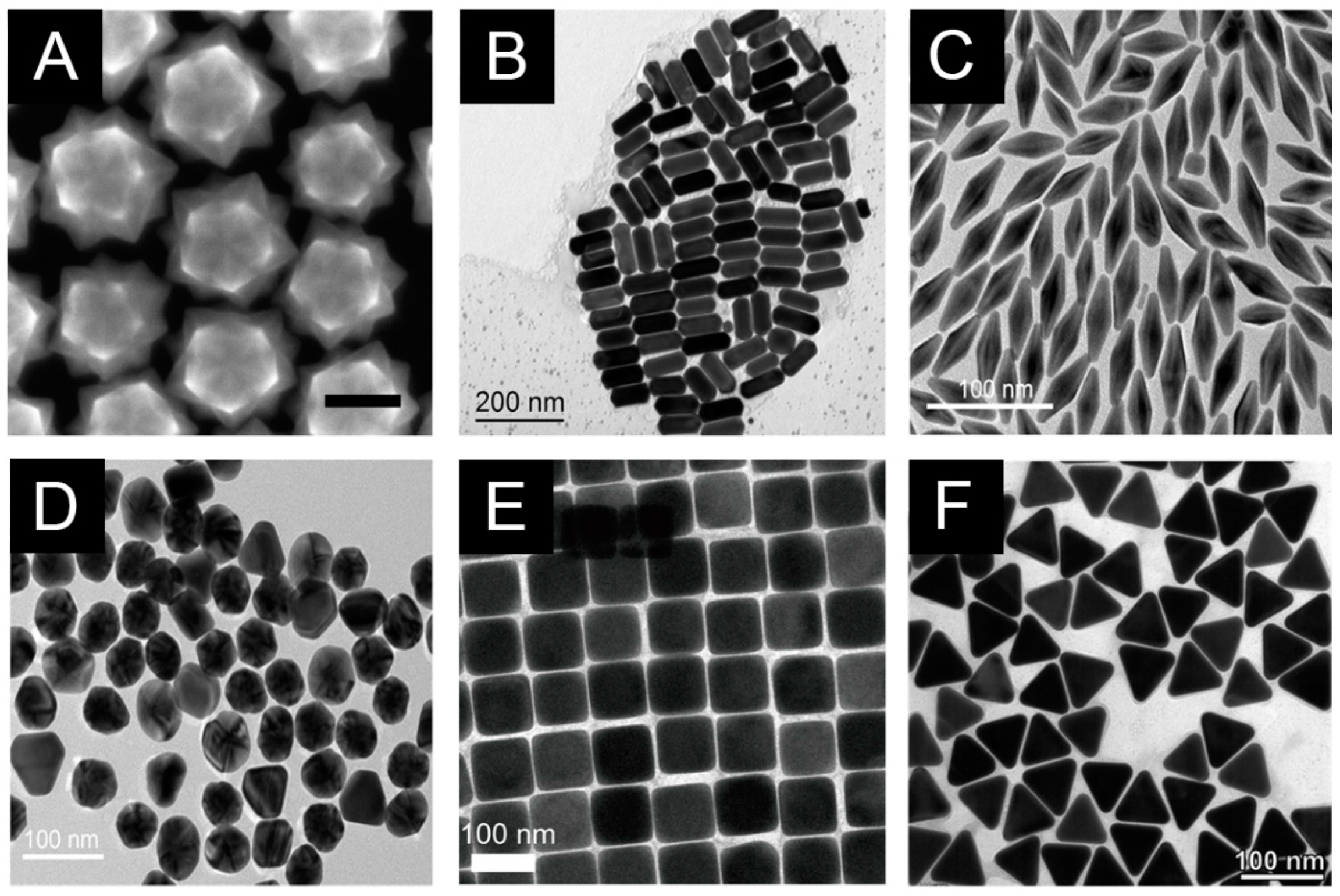 Biosensors 14 00564 g002