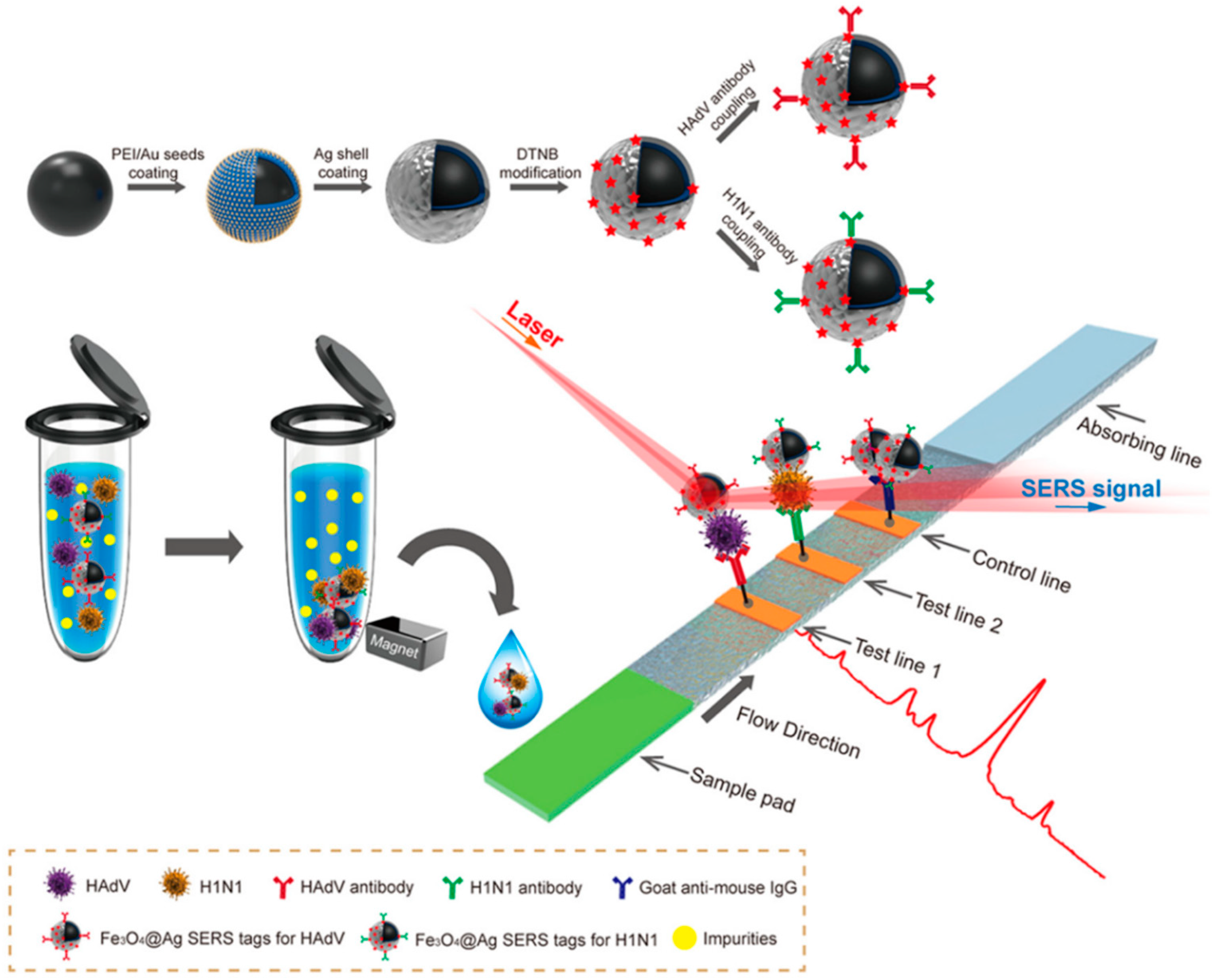 Biosensors 14 00564 g006