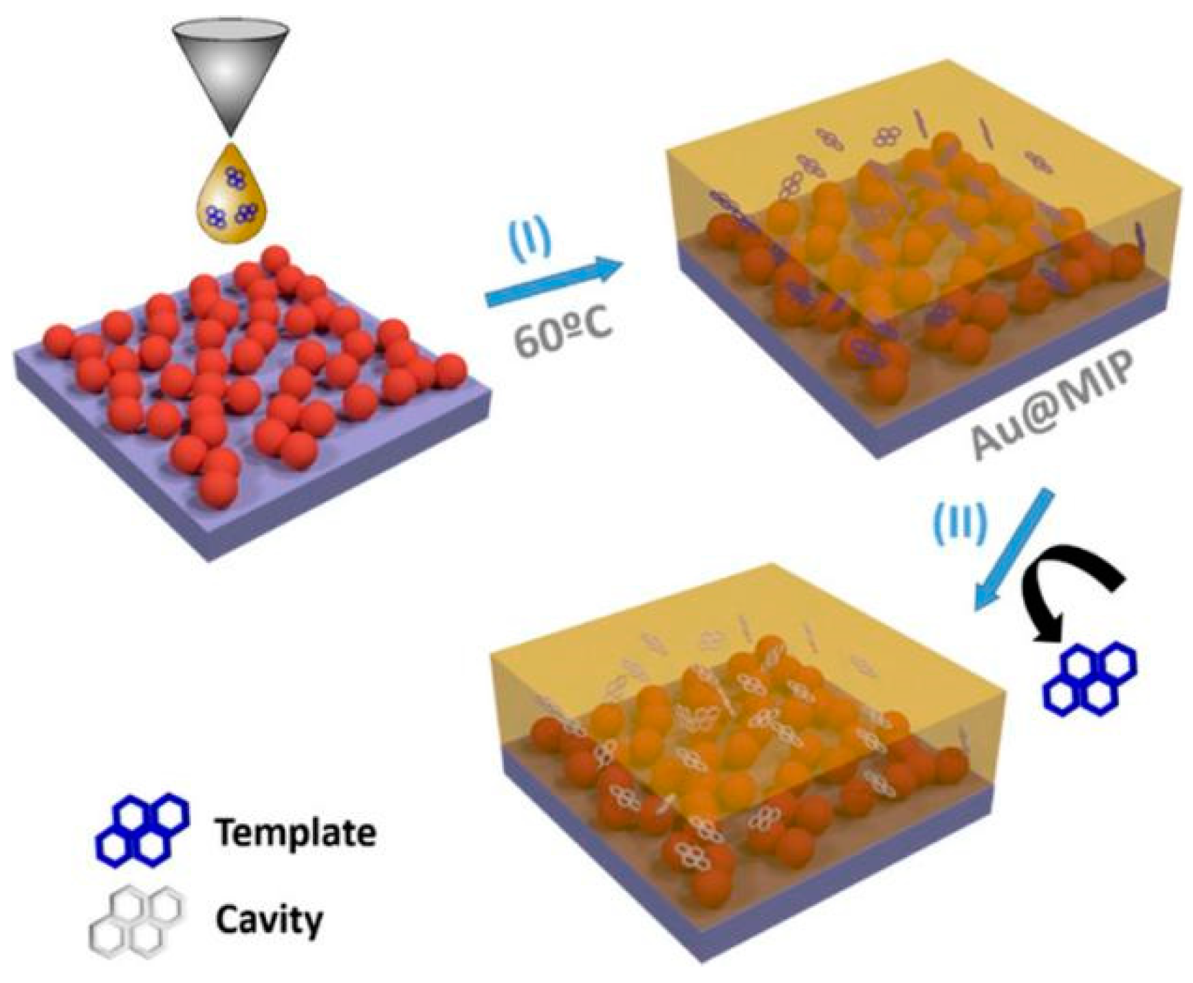 Biosensors 14 00564 g007