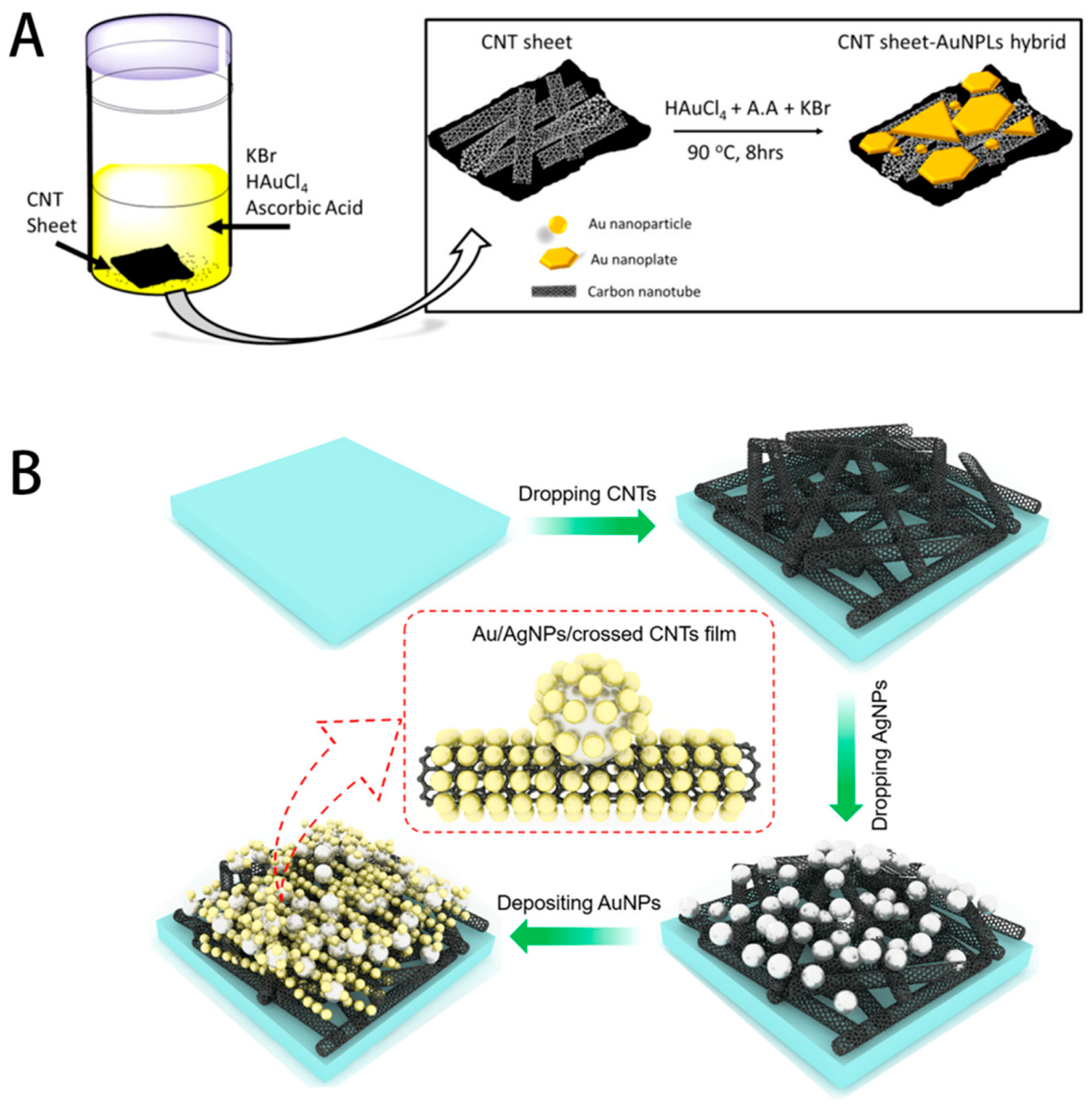 Biosensors 14 00564 g010