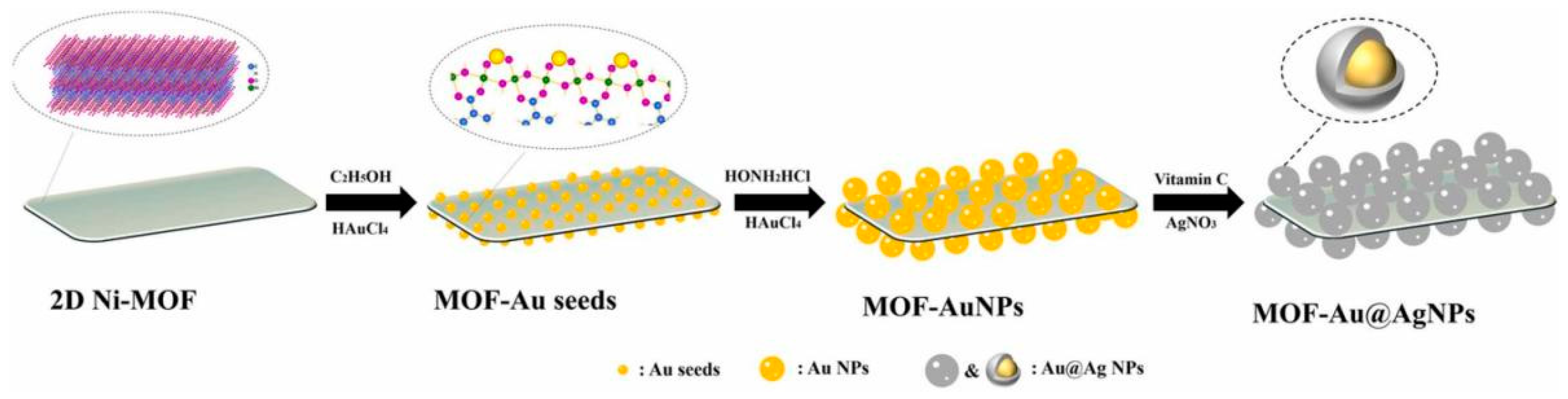 Biosensors 14 00564 g011