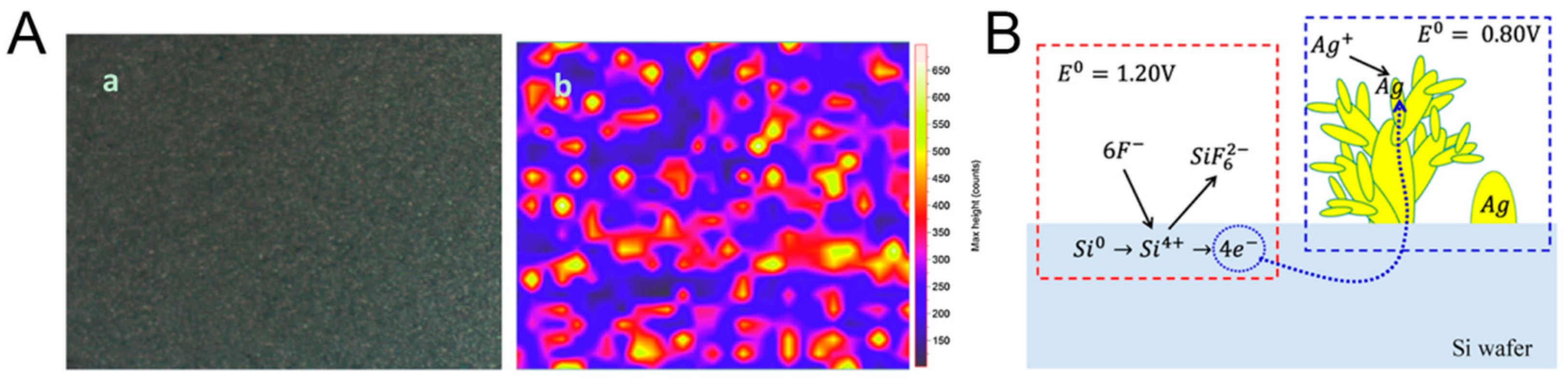 Biosensors 14 00564 g012